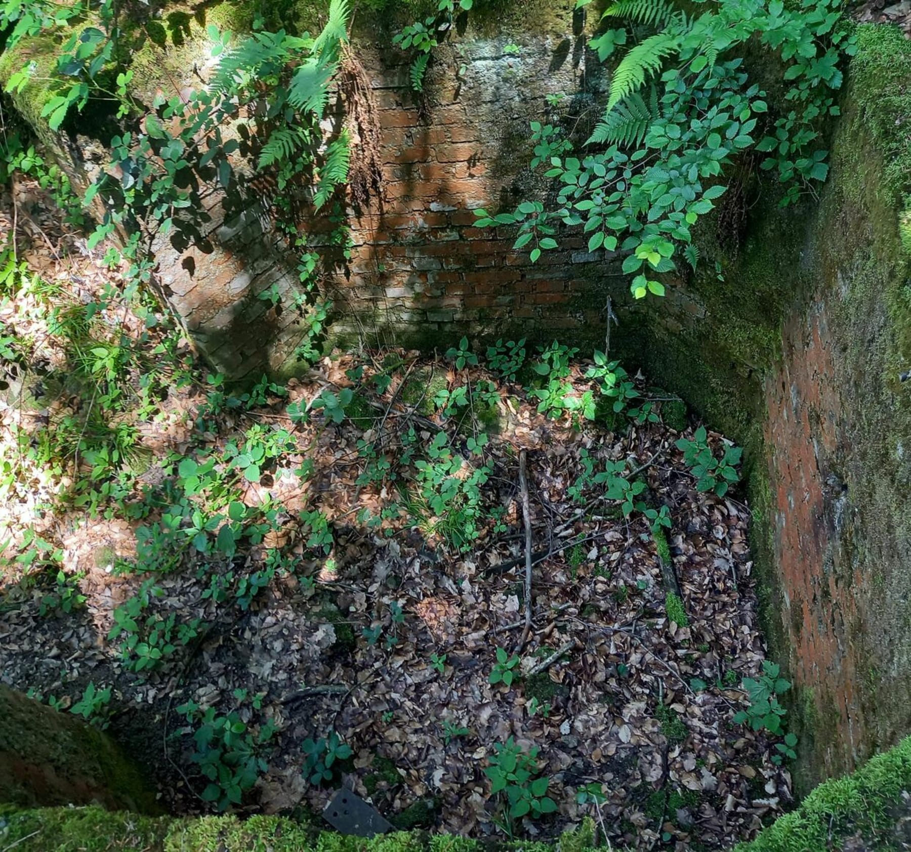 Randonnée Ingolsheim - Sentier du fort de Schœnenbourg