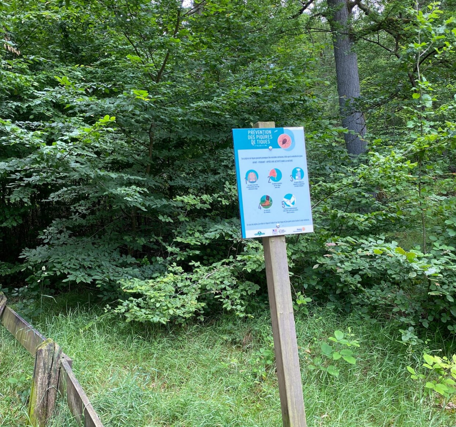 Randonnée Poigny-la-Forêt - Entre bois et village de Poigny la forêt