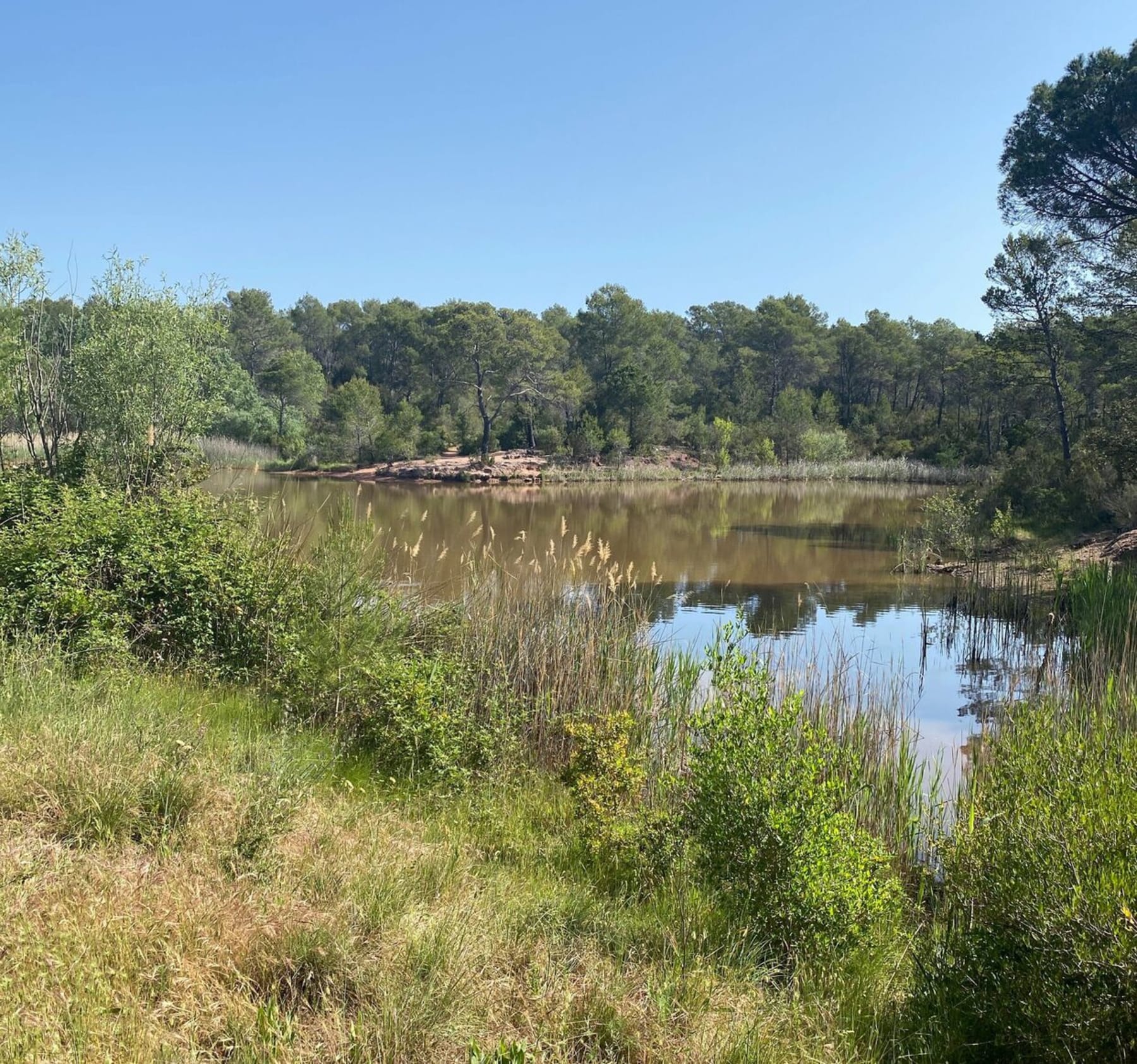 Randonnée Puget-sur-Argens - Balade VTT Puget sur Argens