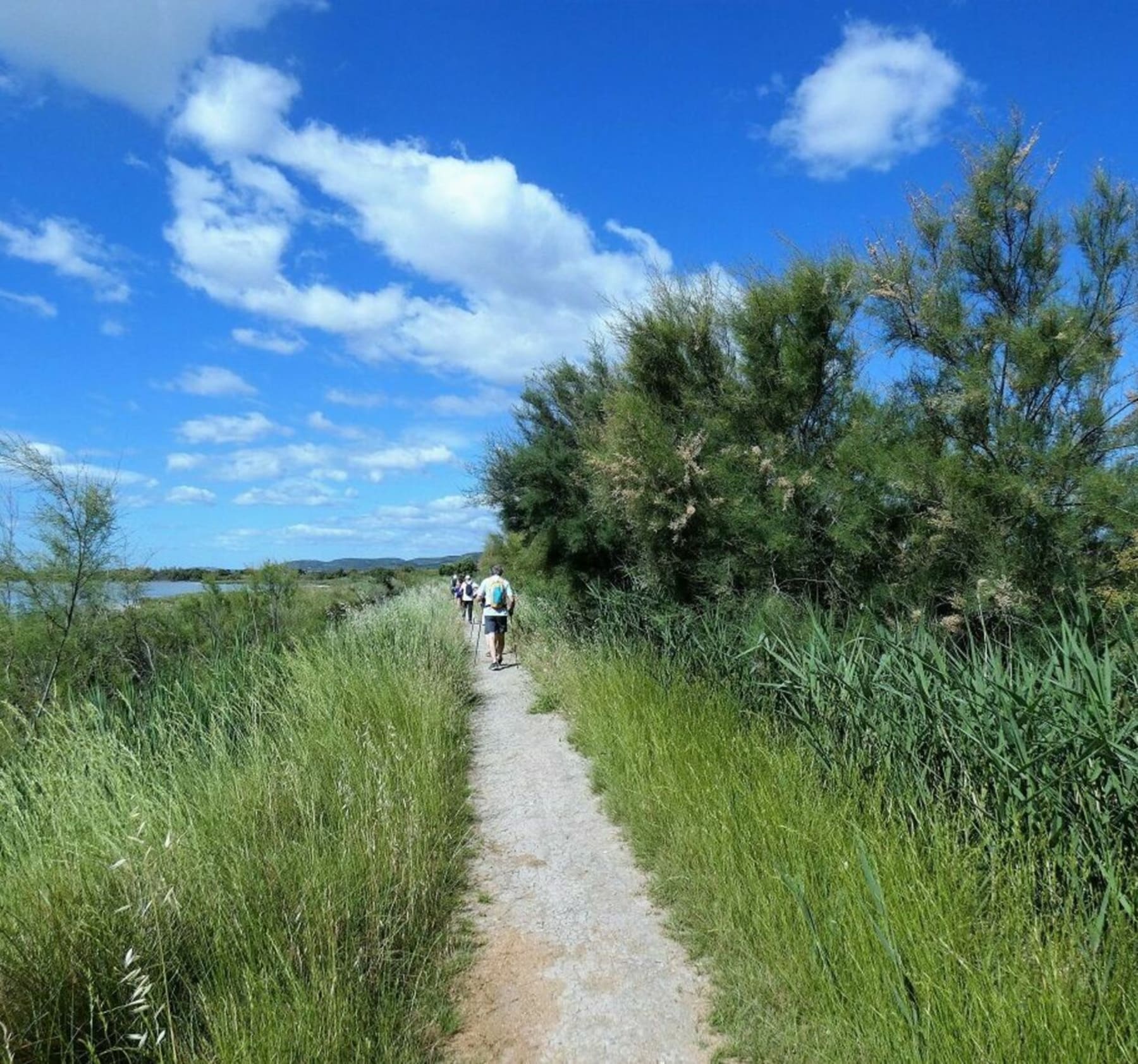 Randonnée Villeneuve-lès-Maguelone - Salines des Maguelones