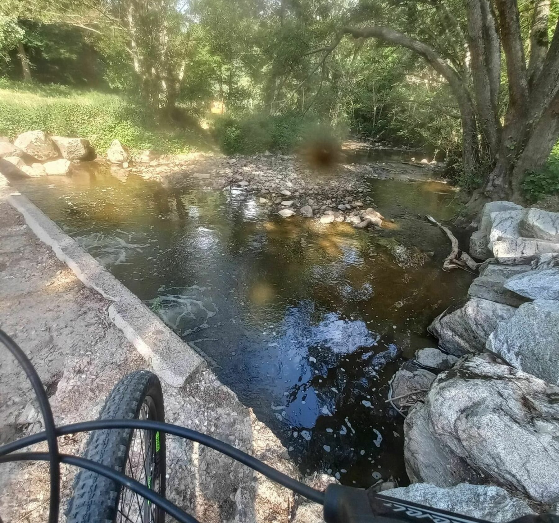 Randonnée Chazelles-sur-Lyon - Campagne chazelloise et Petit tour par Saint Médard