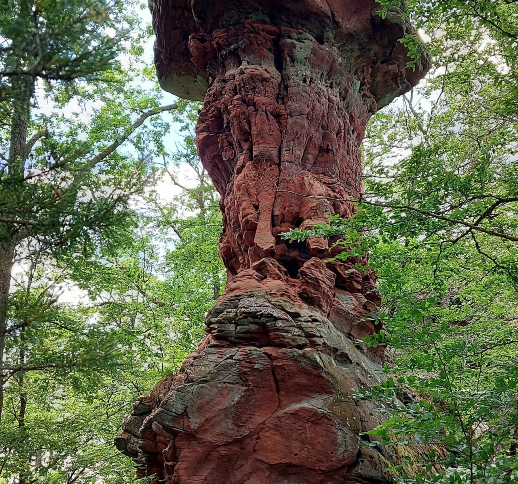 Randonnée Philippsbourg - Randonnée en Pays de Hanau.