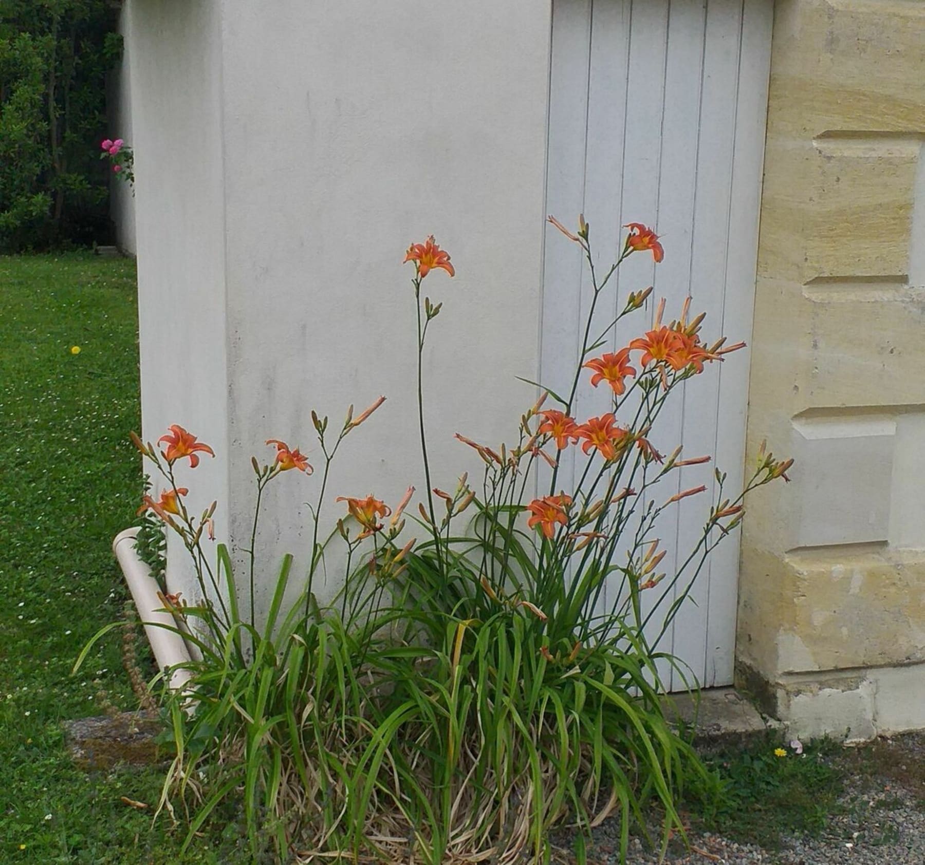 Randonnée Saint-Girons-d'Aiguevives - Berson par le Grand-Pierre