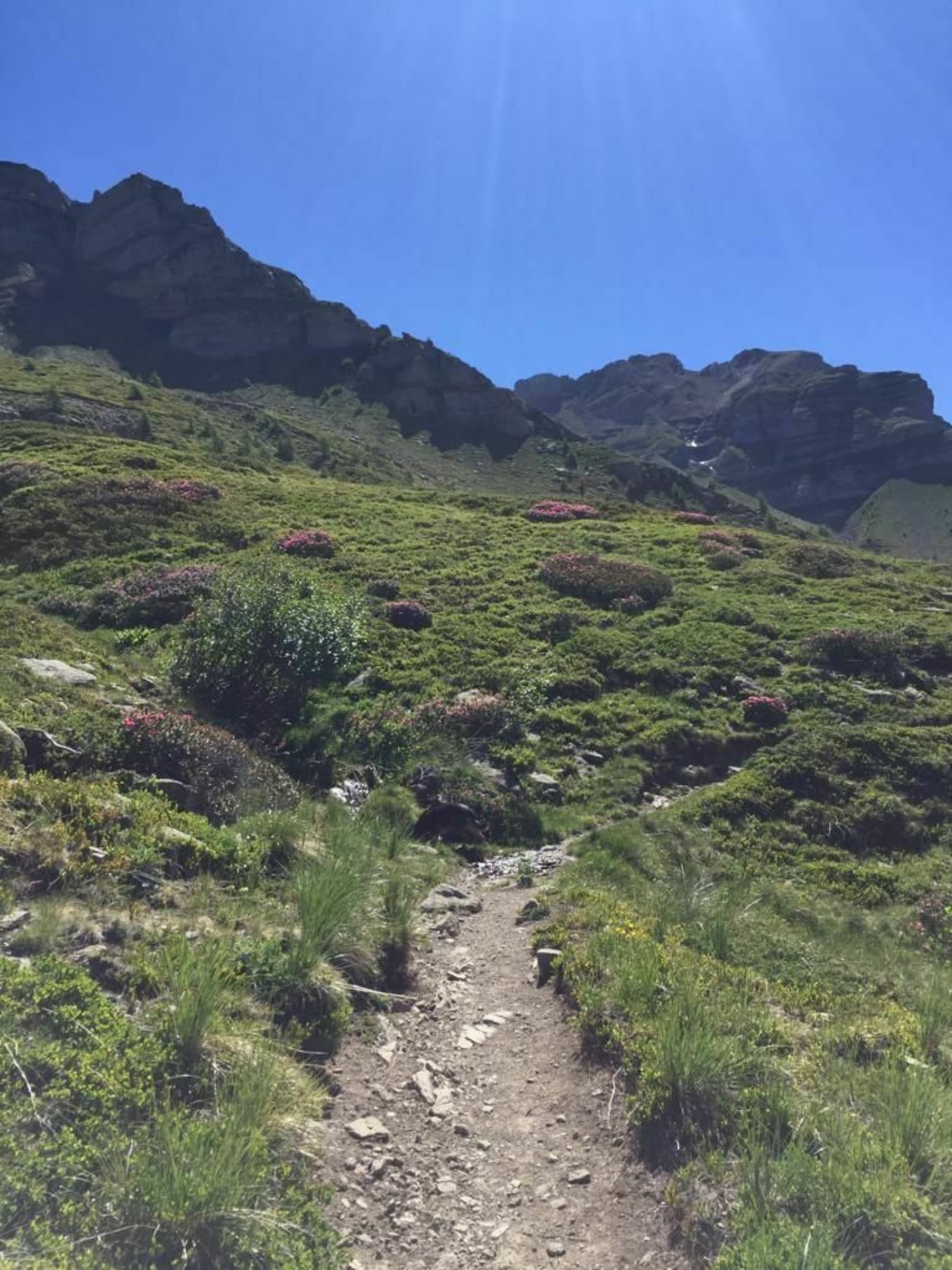 Randonnée Saint-Michel-de-Chaillol - Belle randonnée au Col de La Pisse (départ Station Chaillol)