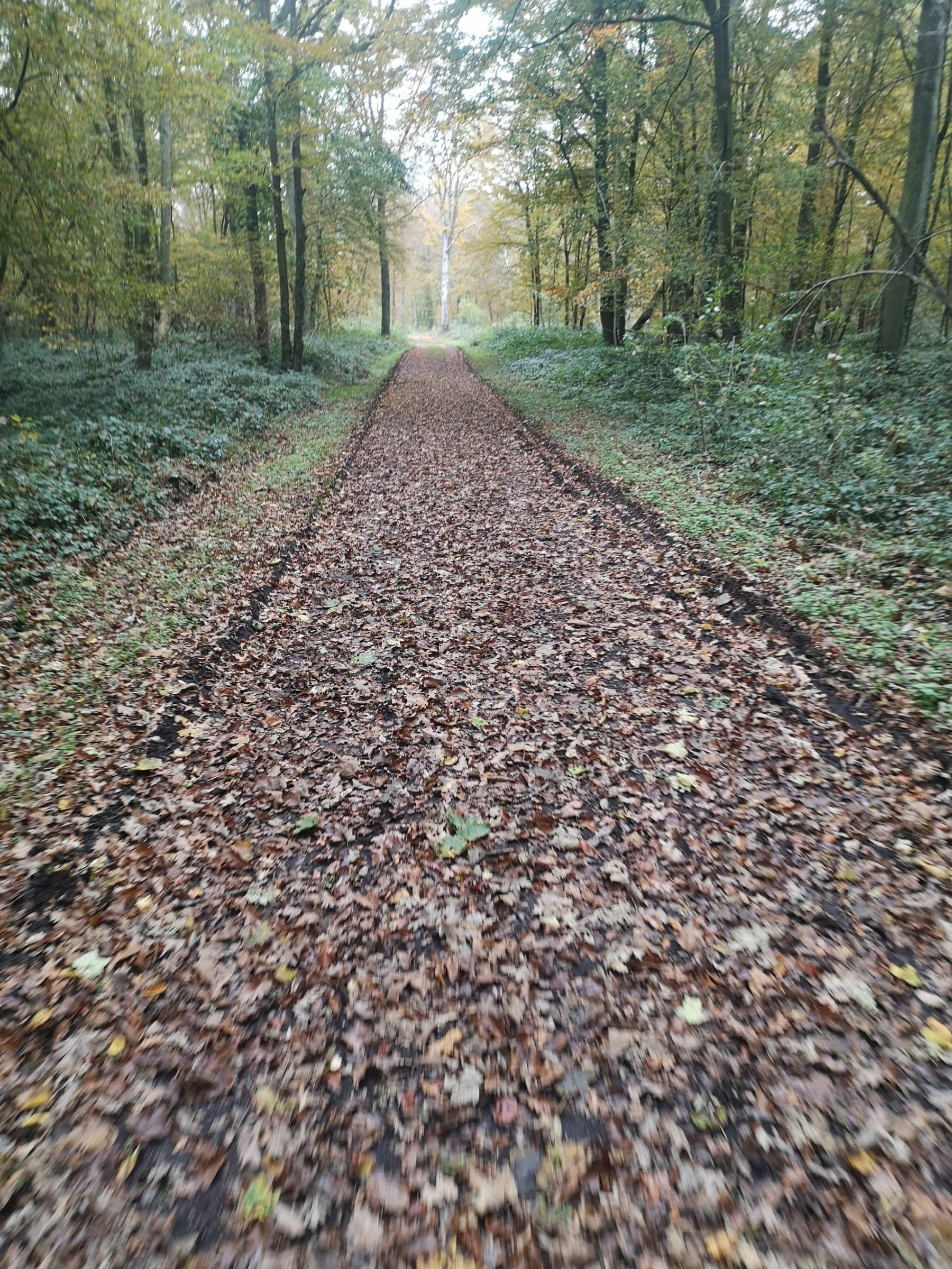 Randonnée Dour - Sortie vtt Ravel plus bois