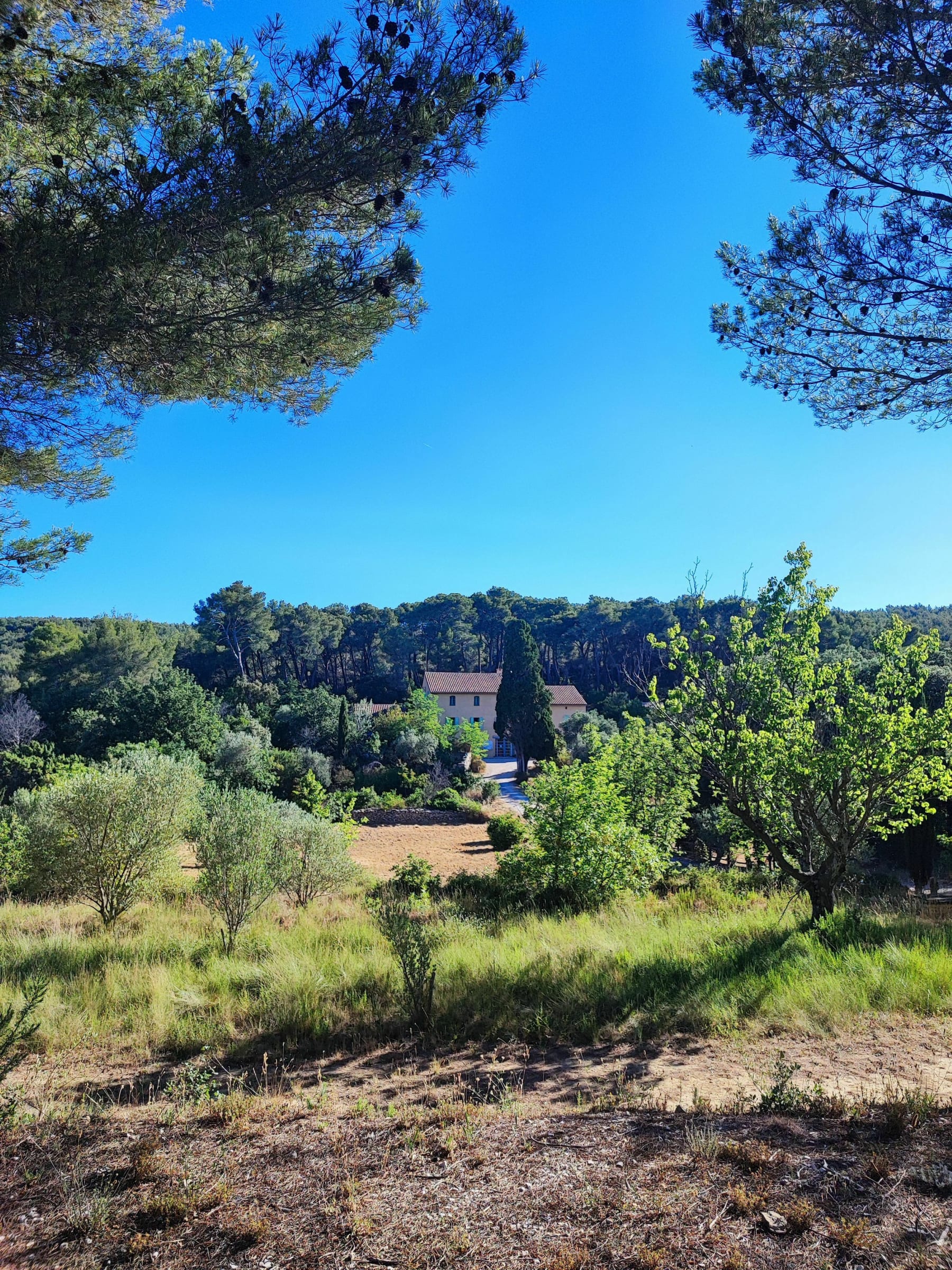 Randonnée Le Beausset - Sentier des 4 frères (Le Beausset - 83)