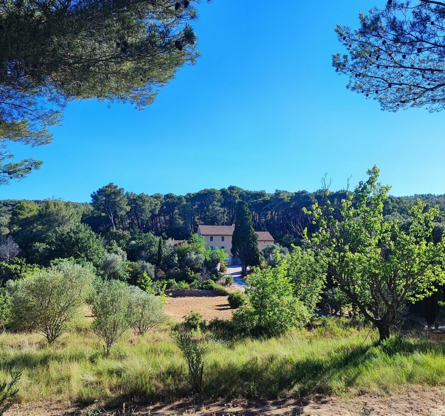 Randonnée Le Beausset - Sentier des 4 frères (Le Beausset - 83)