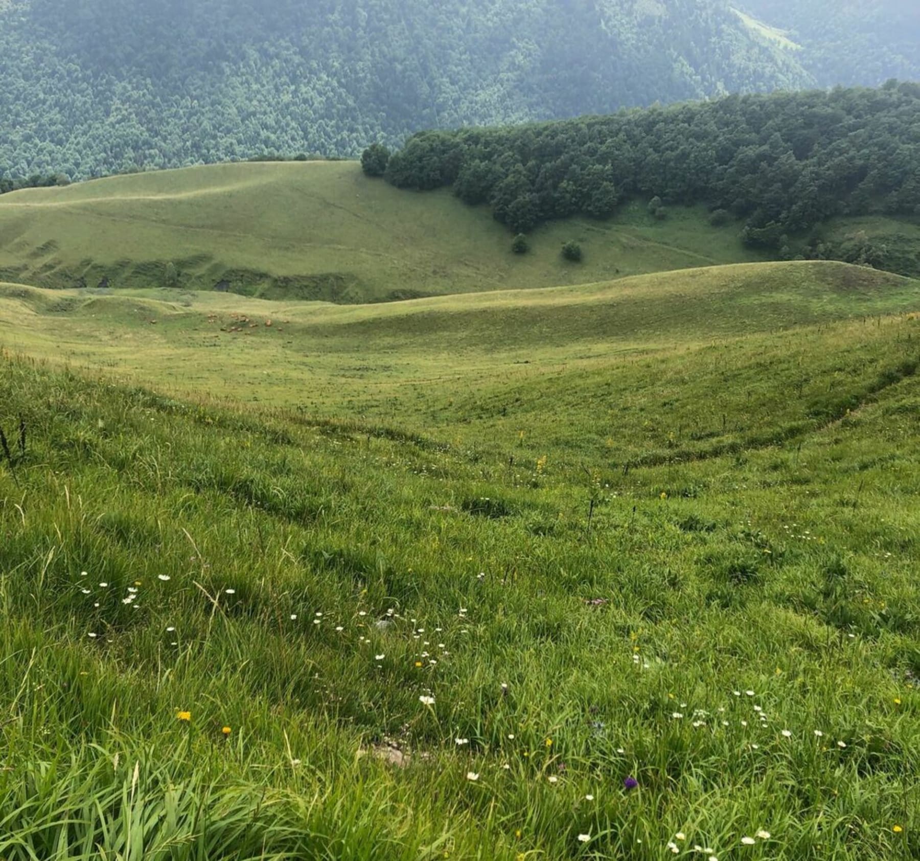 Randonnée Saint-Aventin - Randonnée au Pic de Céricé