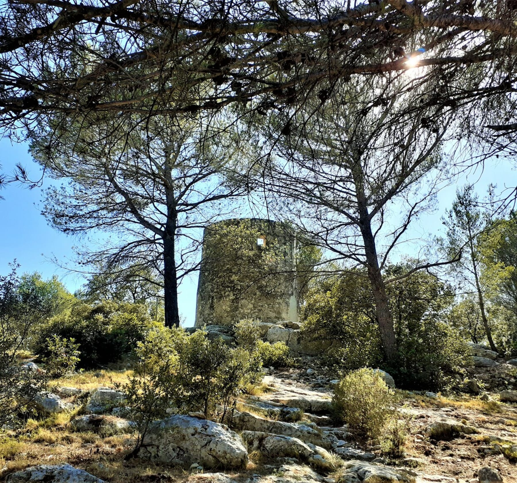 Randonnée Fontvieille - Escapade historique entre moulins et aqueduc romain