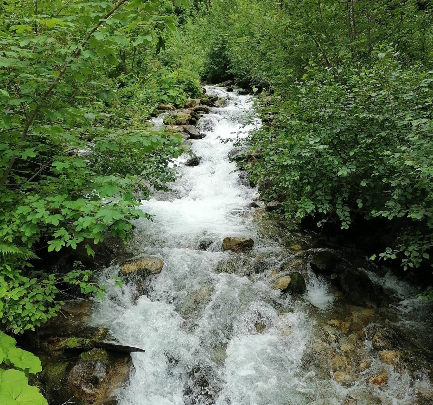 Randonnée Le Haut-Bréda - Boucle à Fond de France et la cascade du Pissou