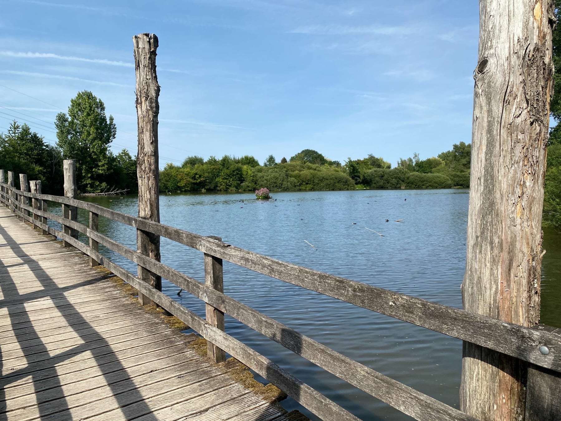 Randonnée Fretin - La promenade du Marais de Fretin, par le Bois des Enclos