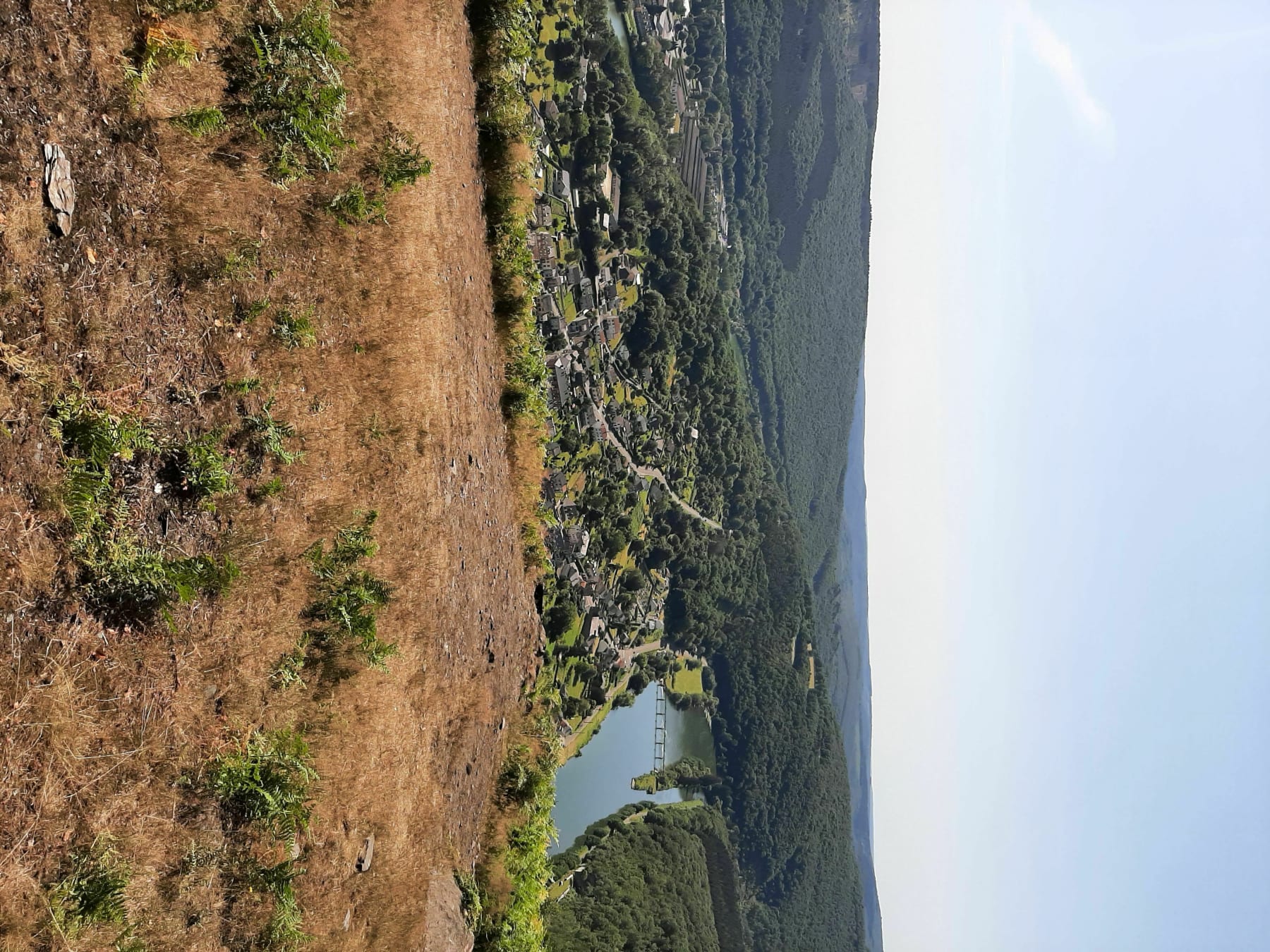 Randonnée Bogny-sur-Meuse - Chemin des points de vue et forêt de Château-Regnault