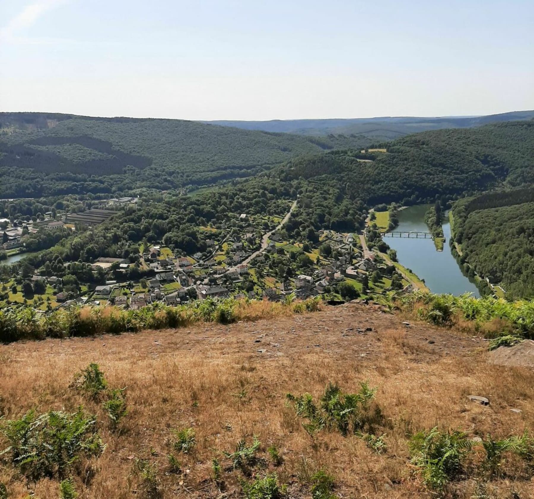 Randonnée Bogny-sur-Meuse - Chemin des points de vue et forêt de Château-Regnault