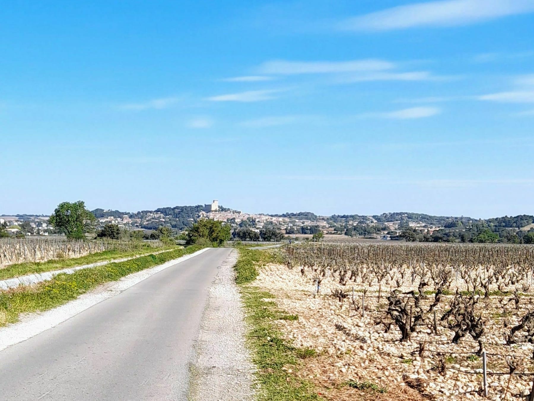 Randonnée Châteauneuf-du-Pape - Châteauneuf du Pape: Garrigue et tour du Camping