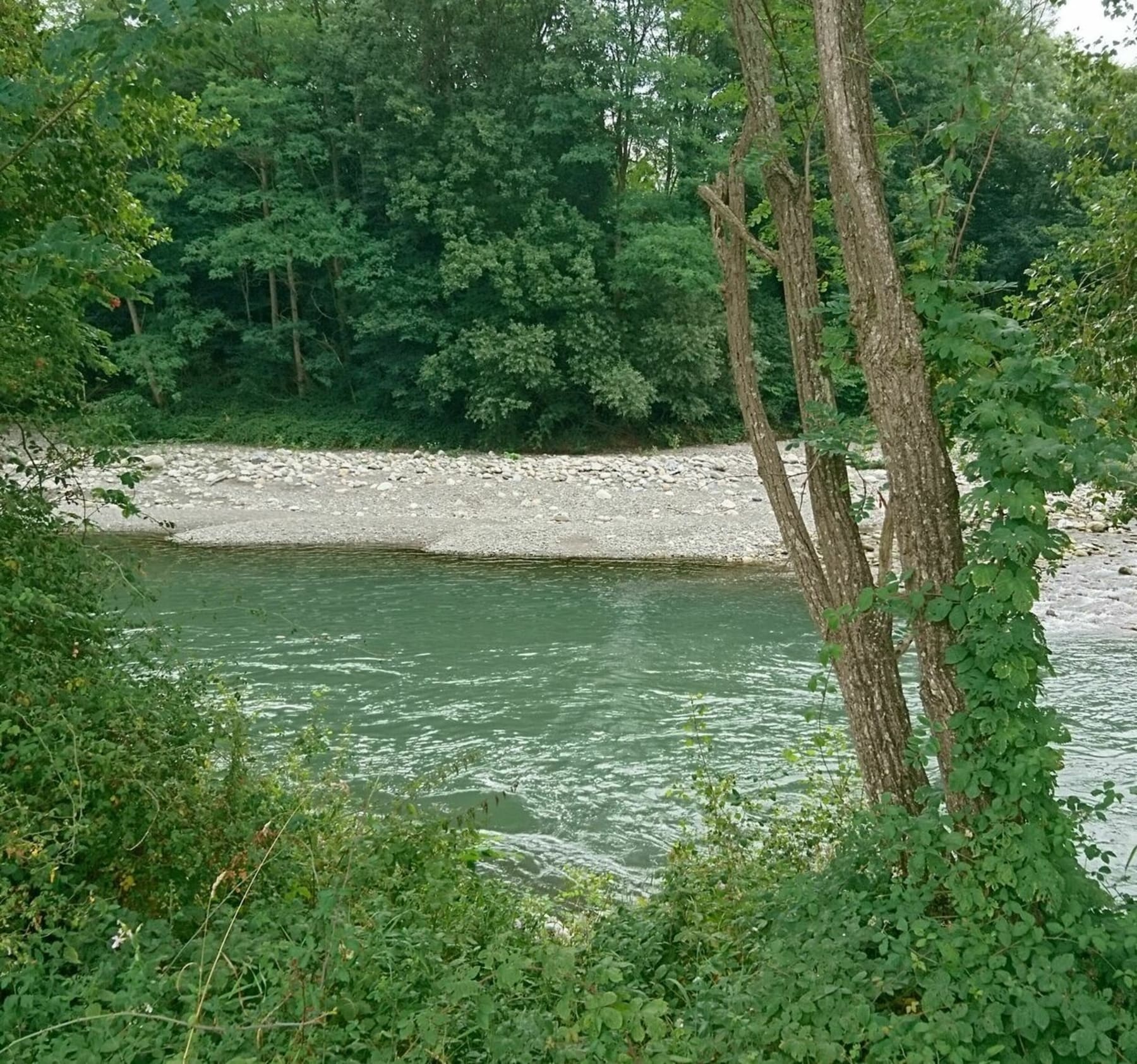 Randonnée Bordes-de-Rivière - Promenade dominicale à Bordes-de-Rivière