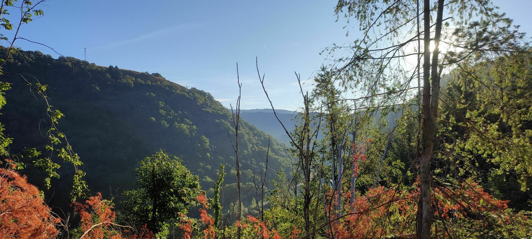 Randonnée Almont-les-Junies - Course/Trail de François Joffre