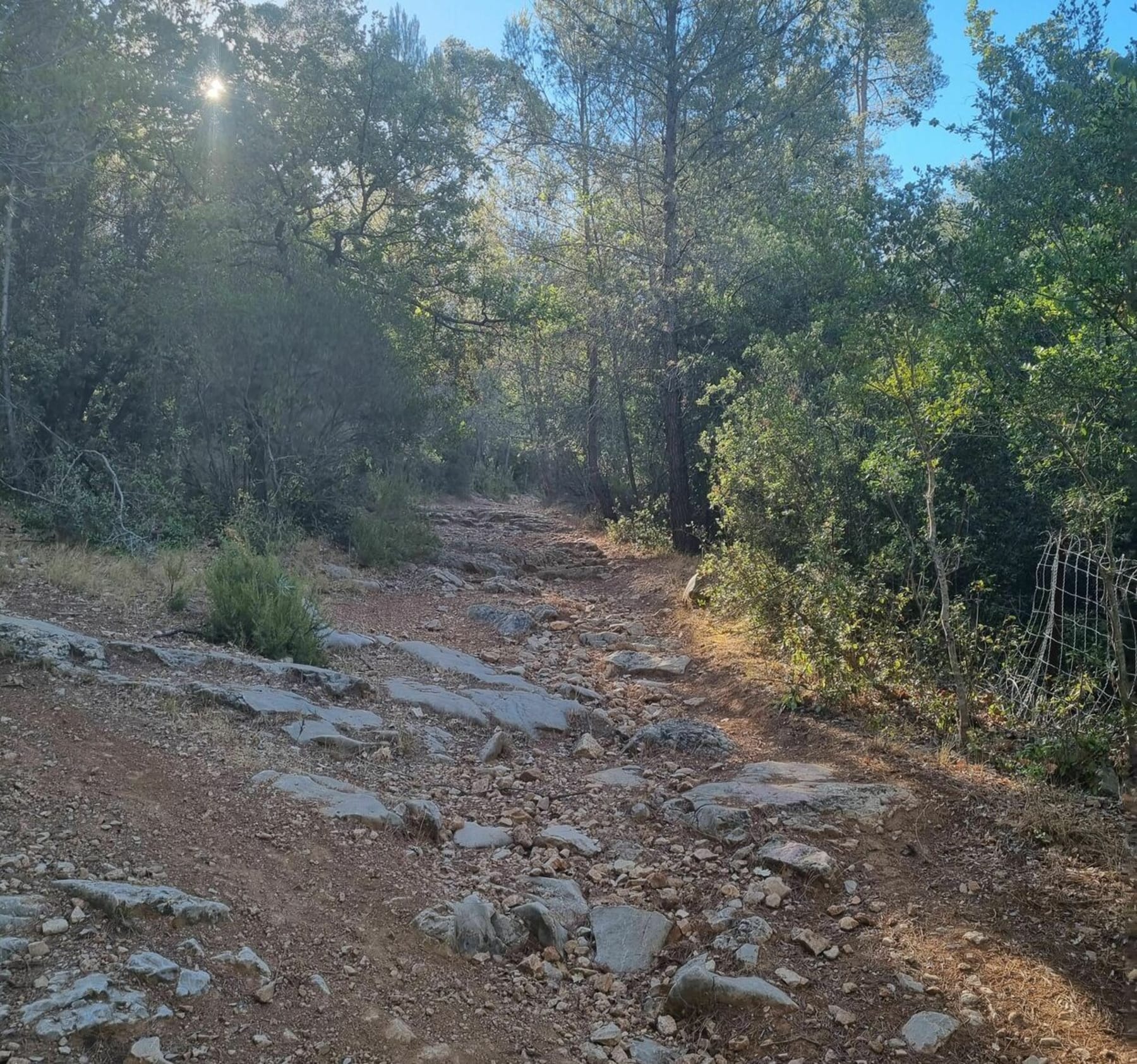 Randonnée Cuges-les-Pins - Sur la route des biguettes de cuges