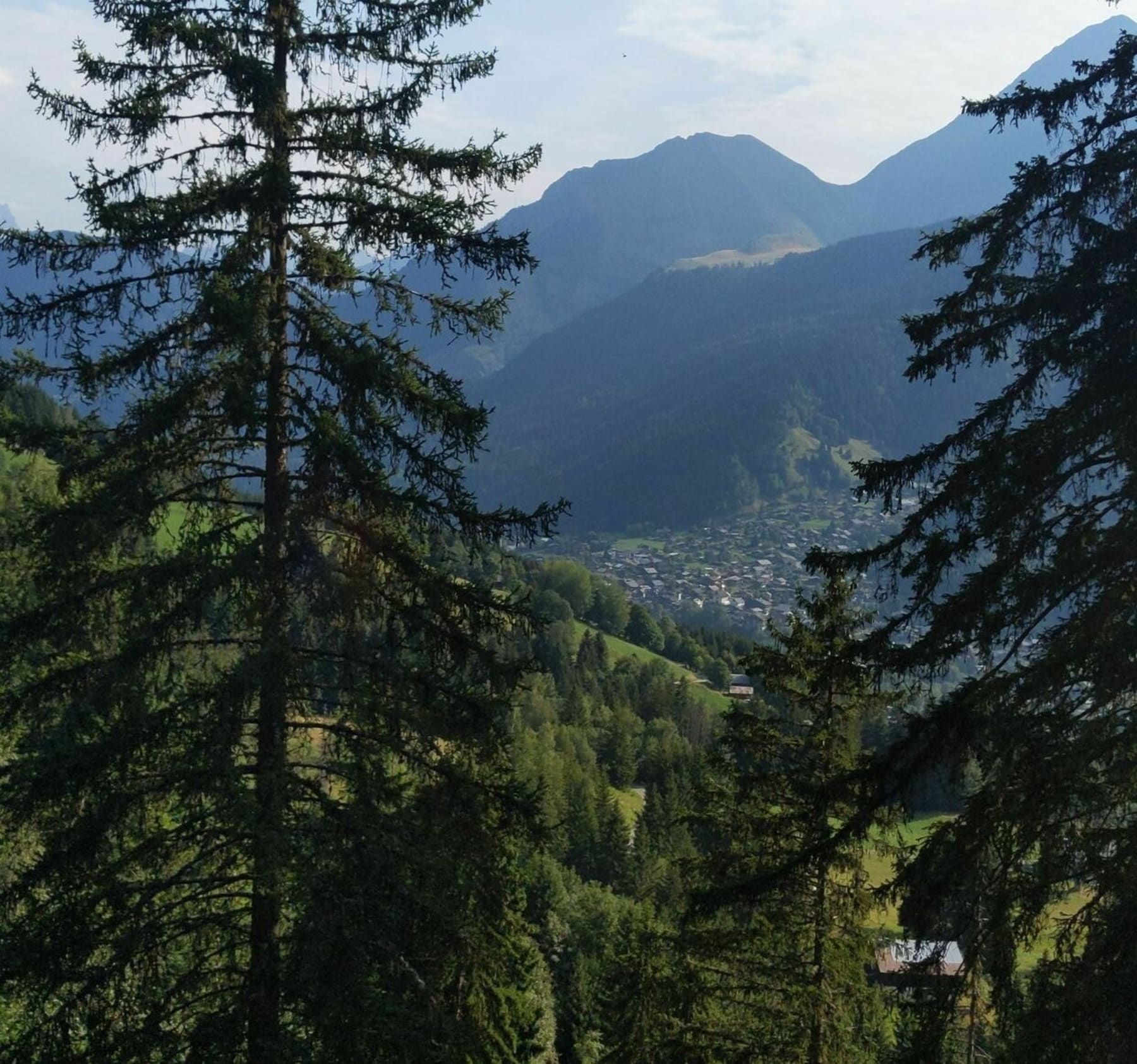 Randonnée Les Contamines-Montjoie - Boucle dans les alpages autour de l'auberge de Colombaz