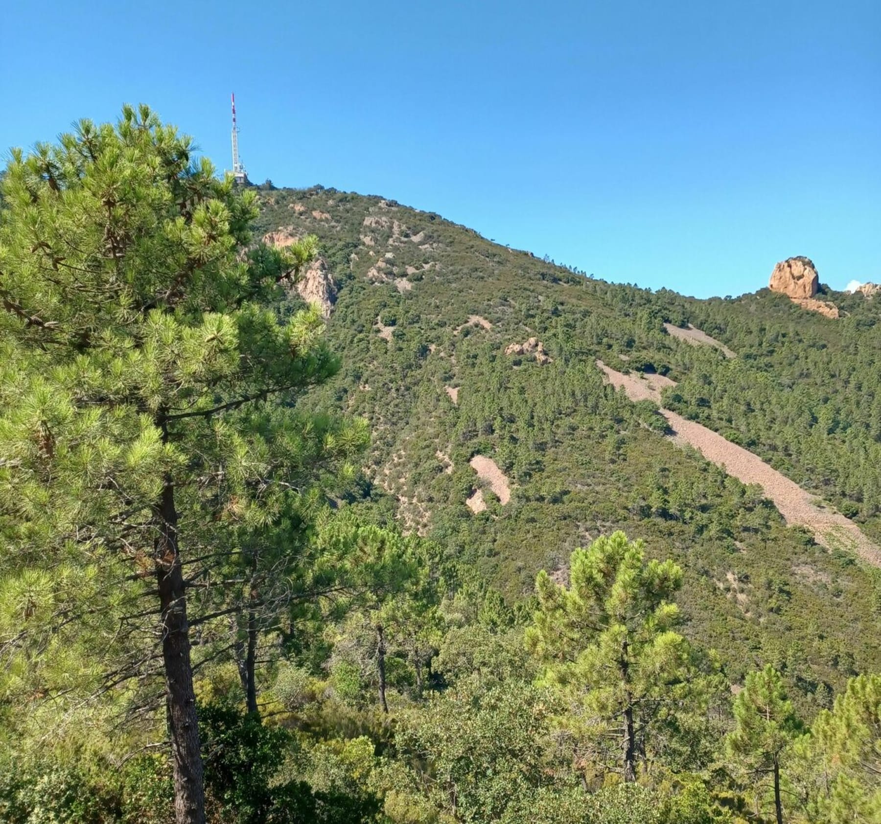 Randonnée Saint-Raphaël - Sortie dans l'Esterel vue mer et roches rouges