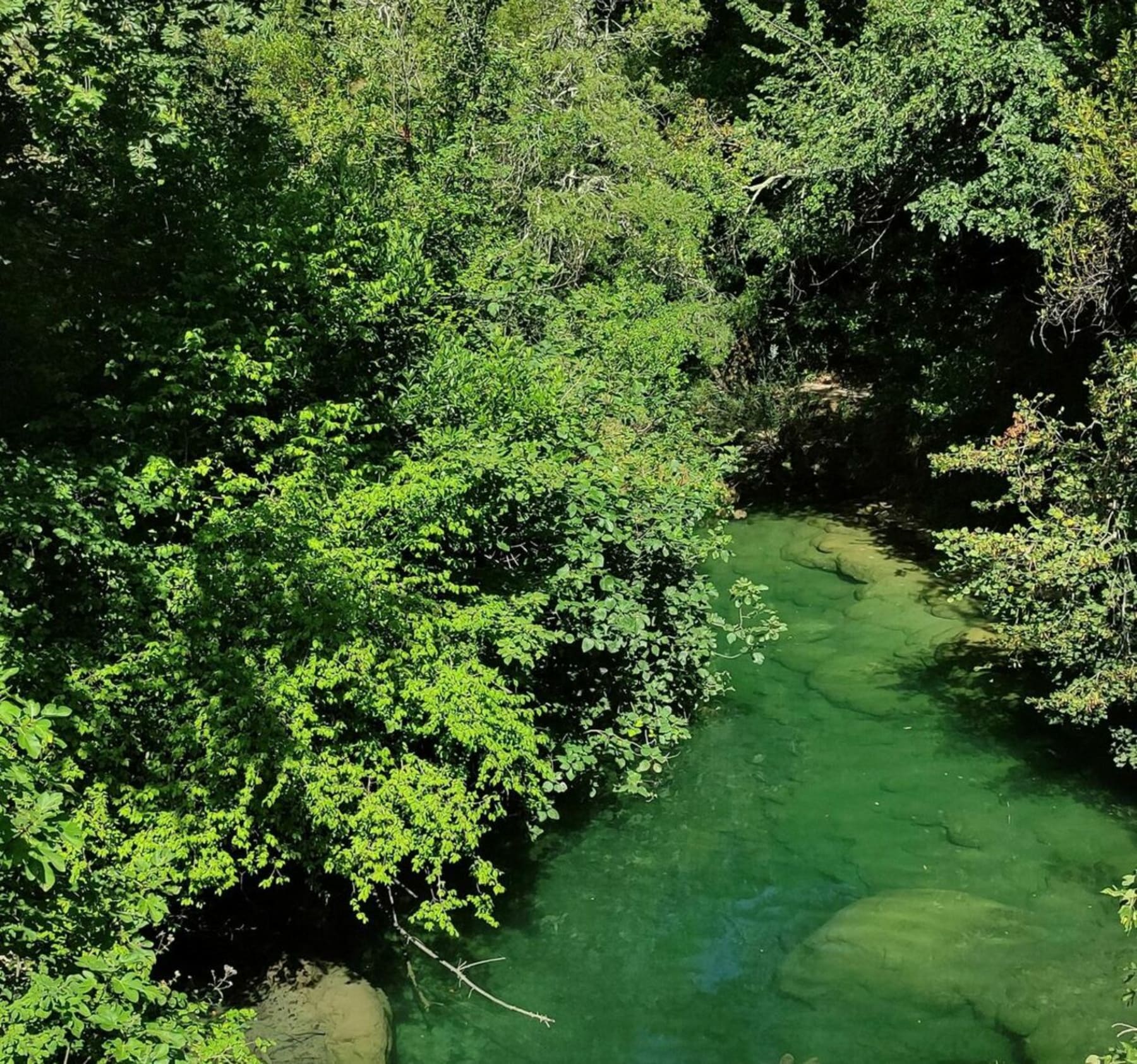 Randonnée Montauroux - Gorge de de Siagne