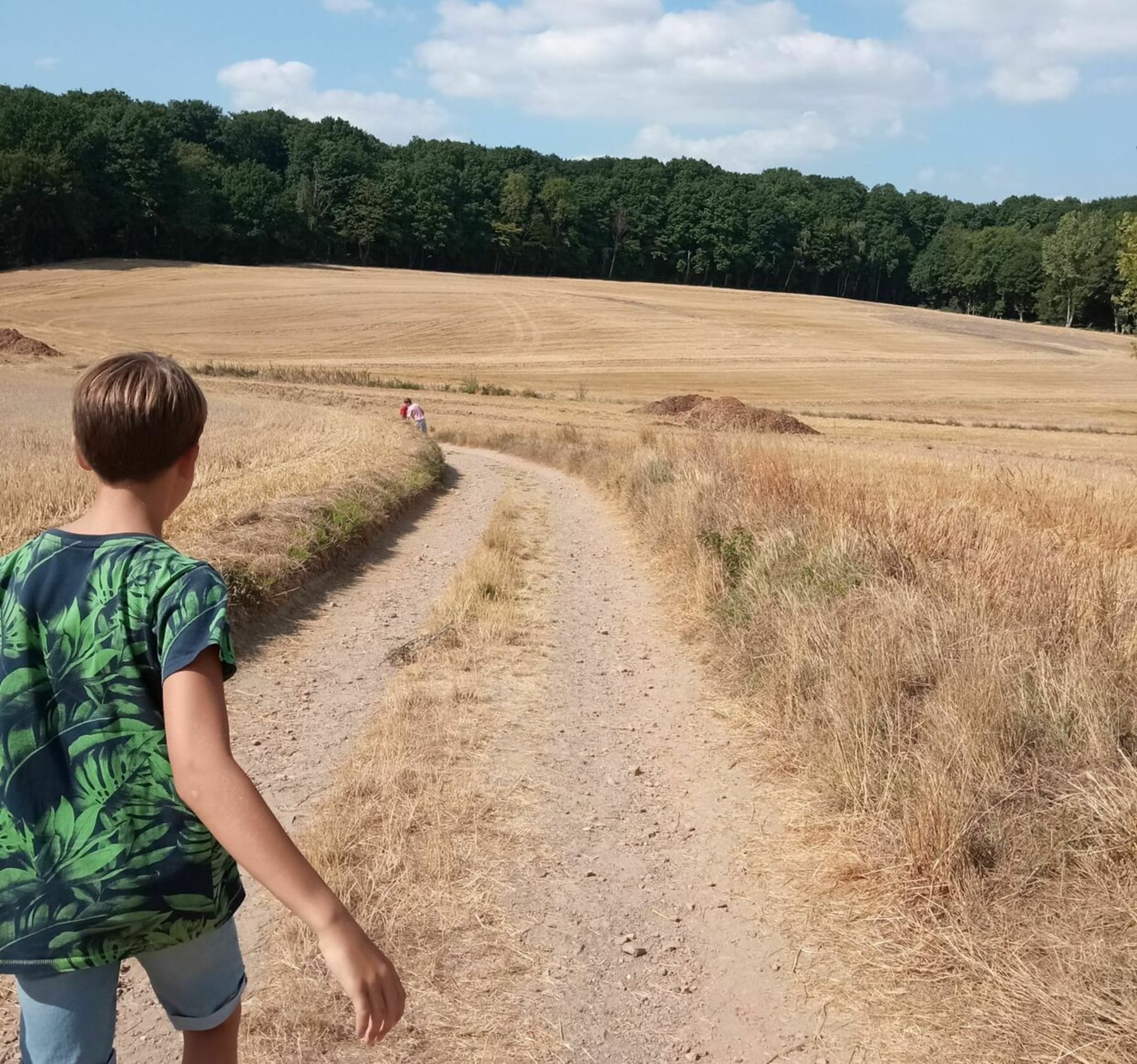 Randonnée Lapugnoy - Très belle balade dans le Bois de Roquelaure