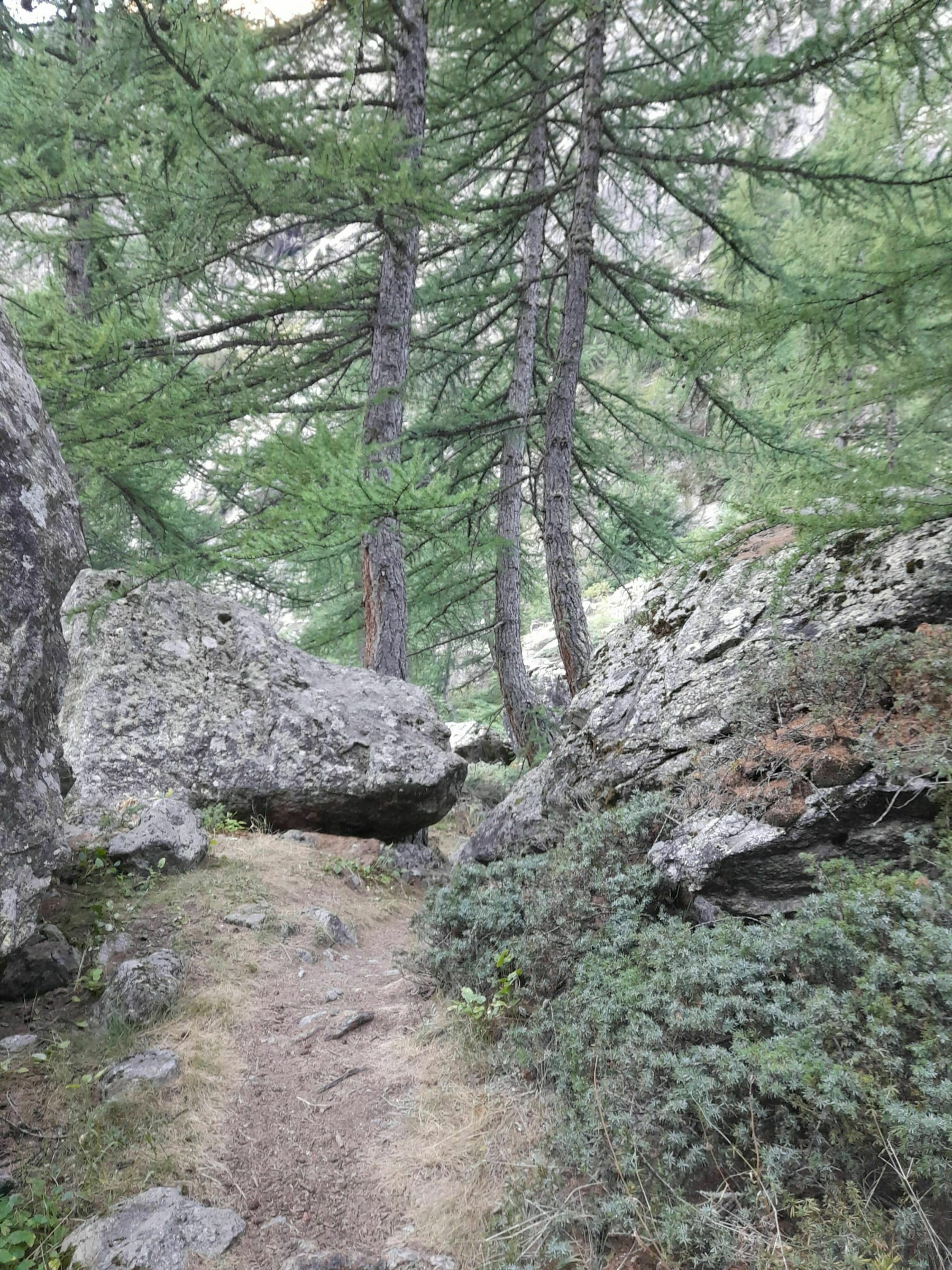 Randonnée Vallouise-Pelvoux - D'Ailefroide au Pré de Madame Carle