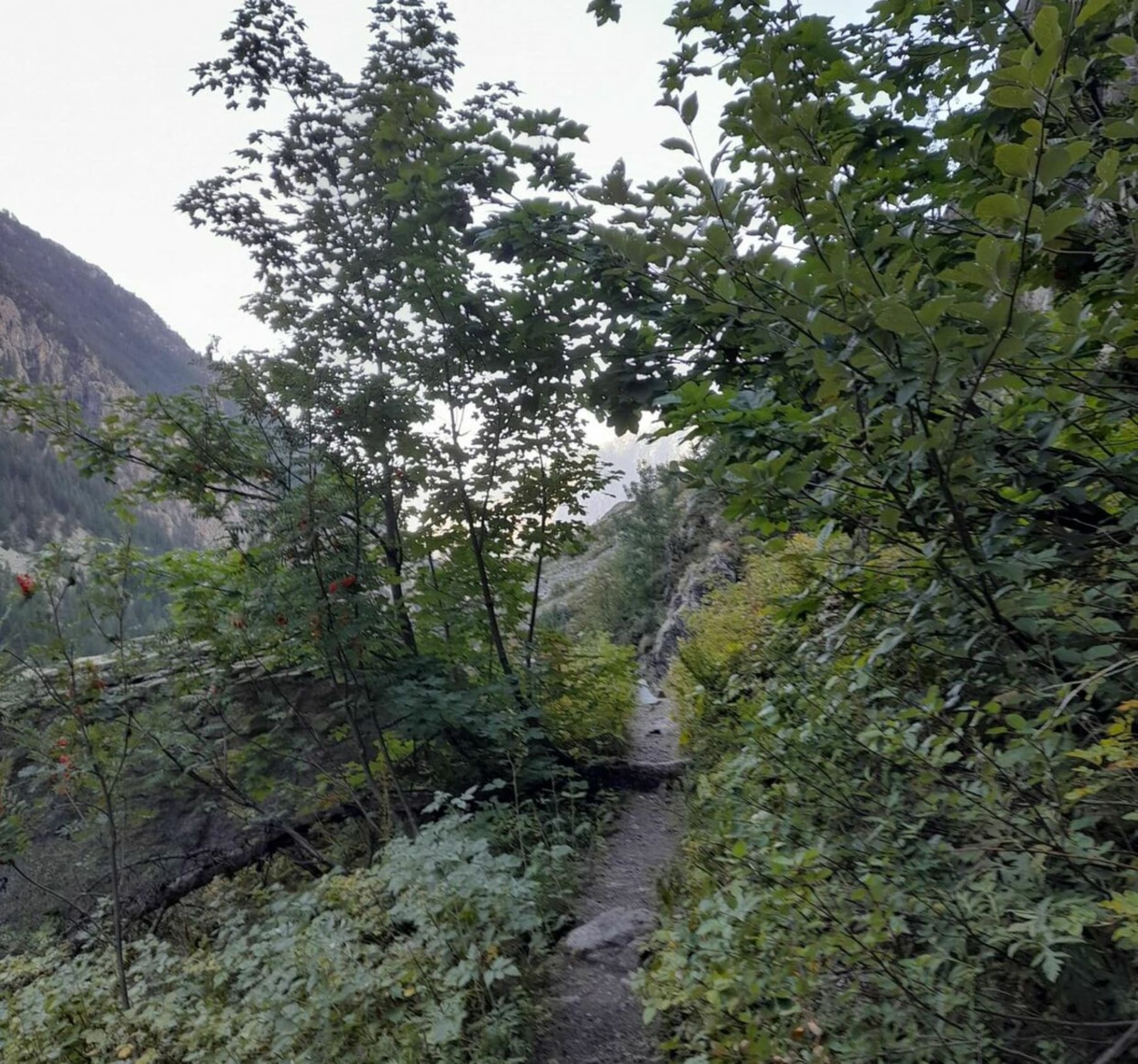 Randonnée Vallouise-Pelvoux - D'Ailefroide au Pré de Madame Carle