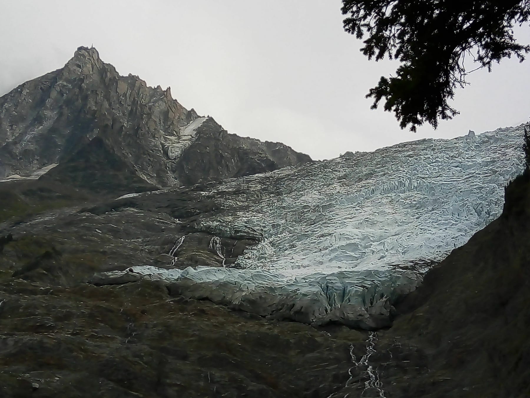 Randonnée Chamonix-Mont-Blanc - Descente sympas et familiale du Châlet des Bossons à la gare