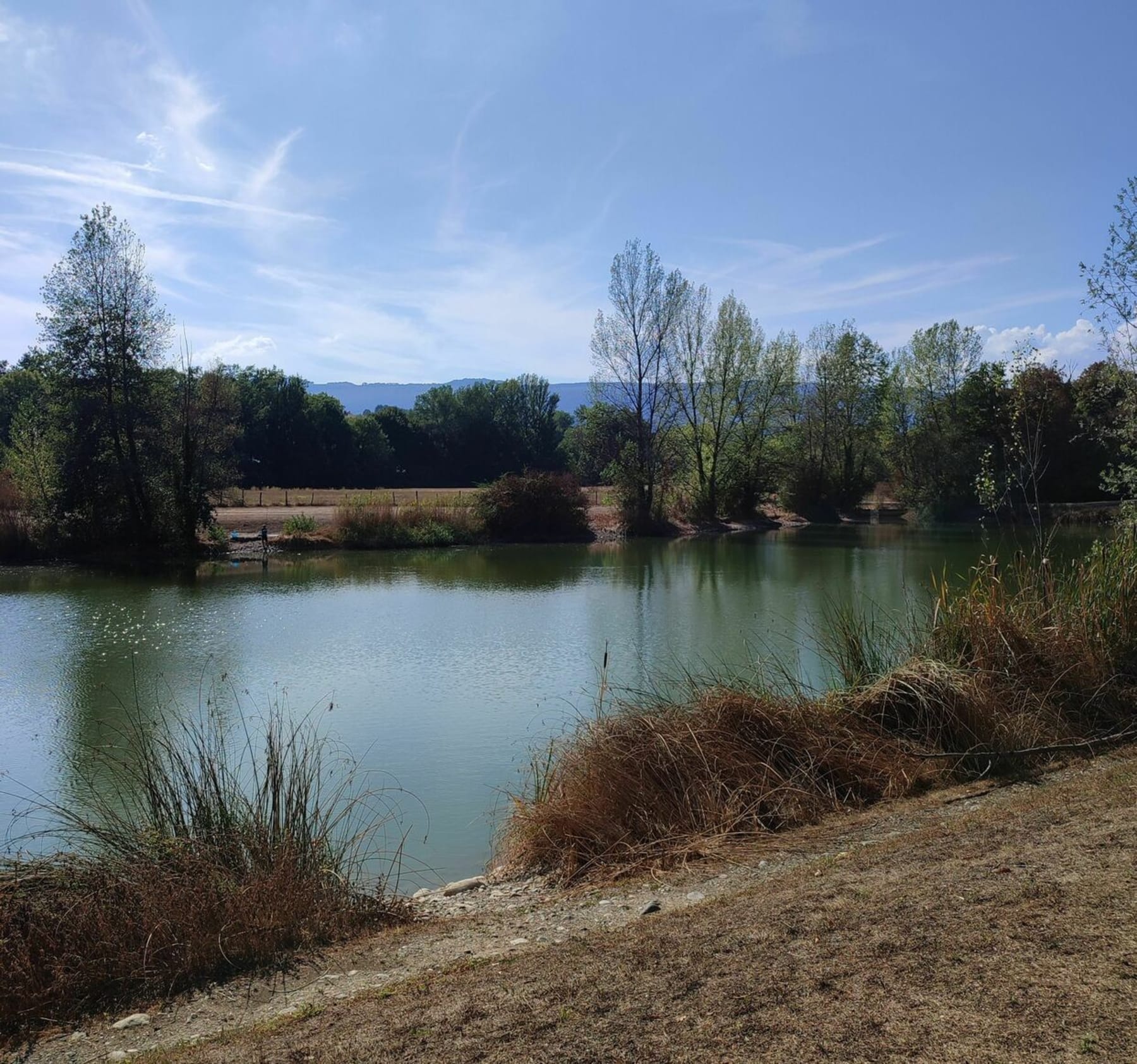 Randonnée Rumilly - Balade tranquille au grand et petit plan d'eau de Rumilly