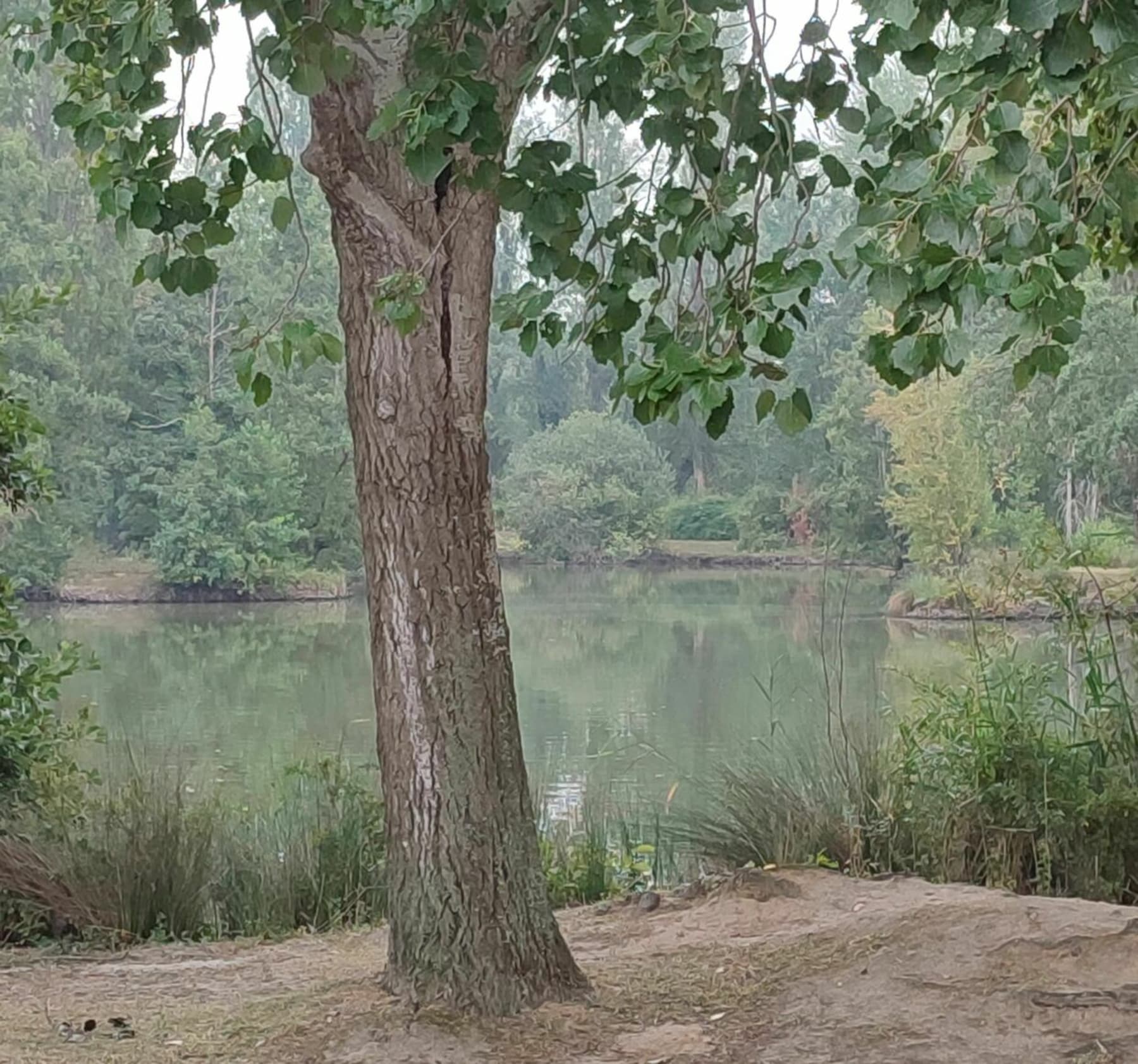 Randonnée Béthune - Le gare d'eau à Béthune