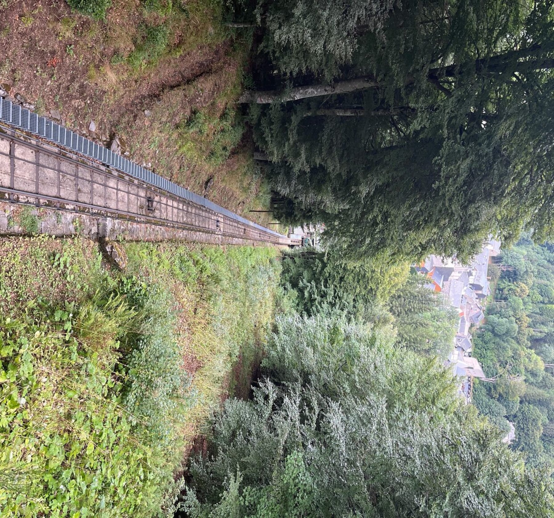 Randonnée Mont-Dore - Funiculaire du capucin et descente au Mont Dore par la forêt