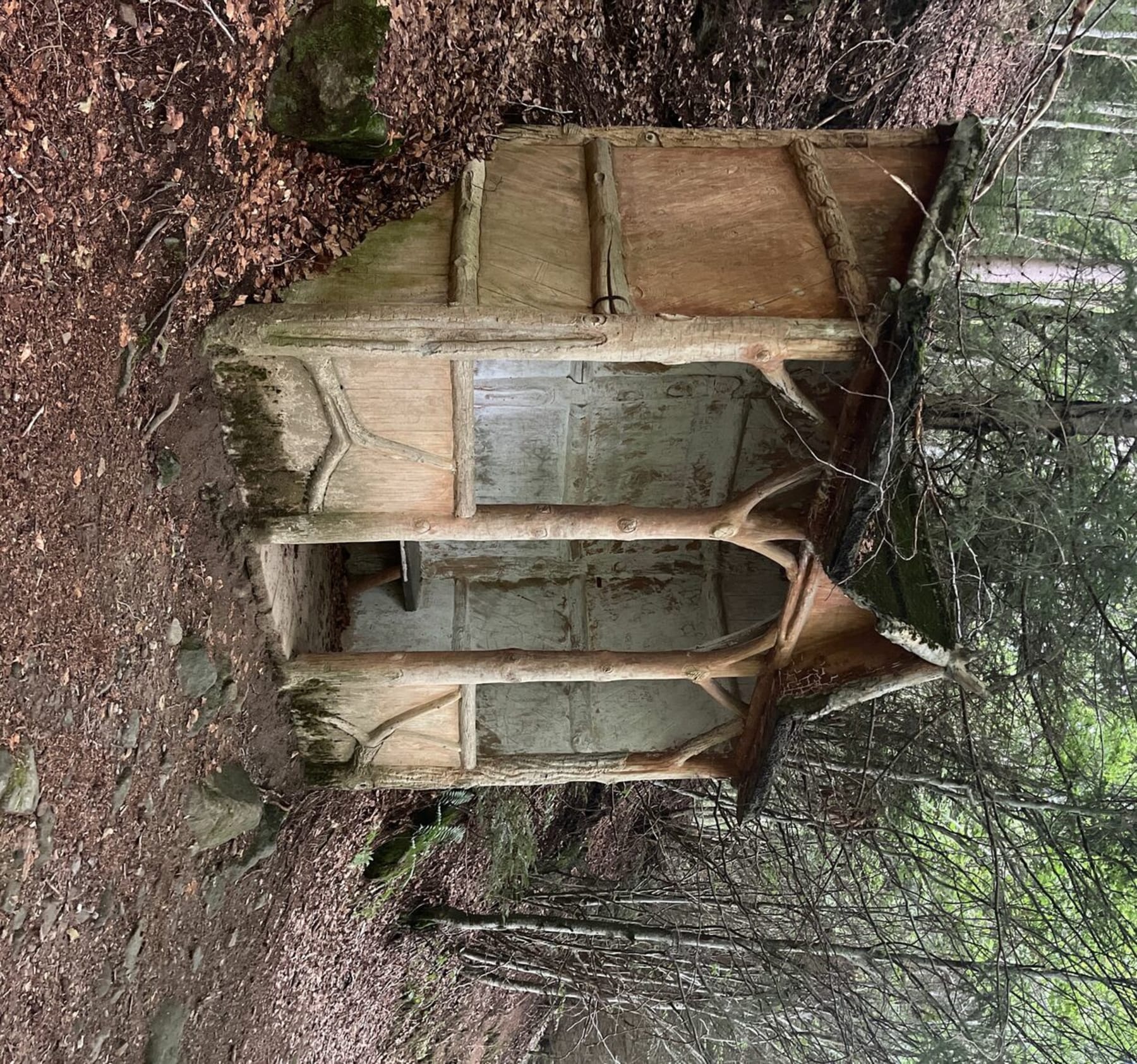 Randonnée Mont-Dore - Funiculaire du capucin et descente au Mont Dore par la forêt