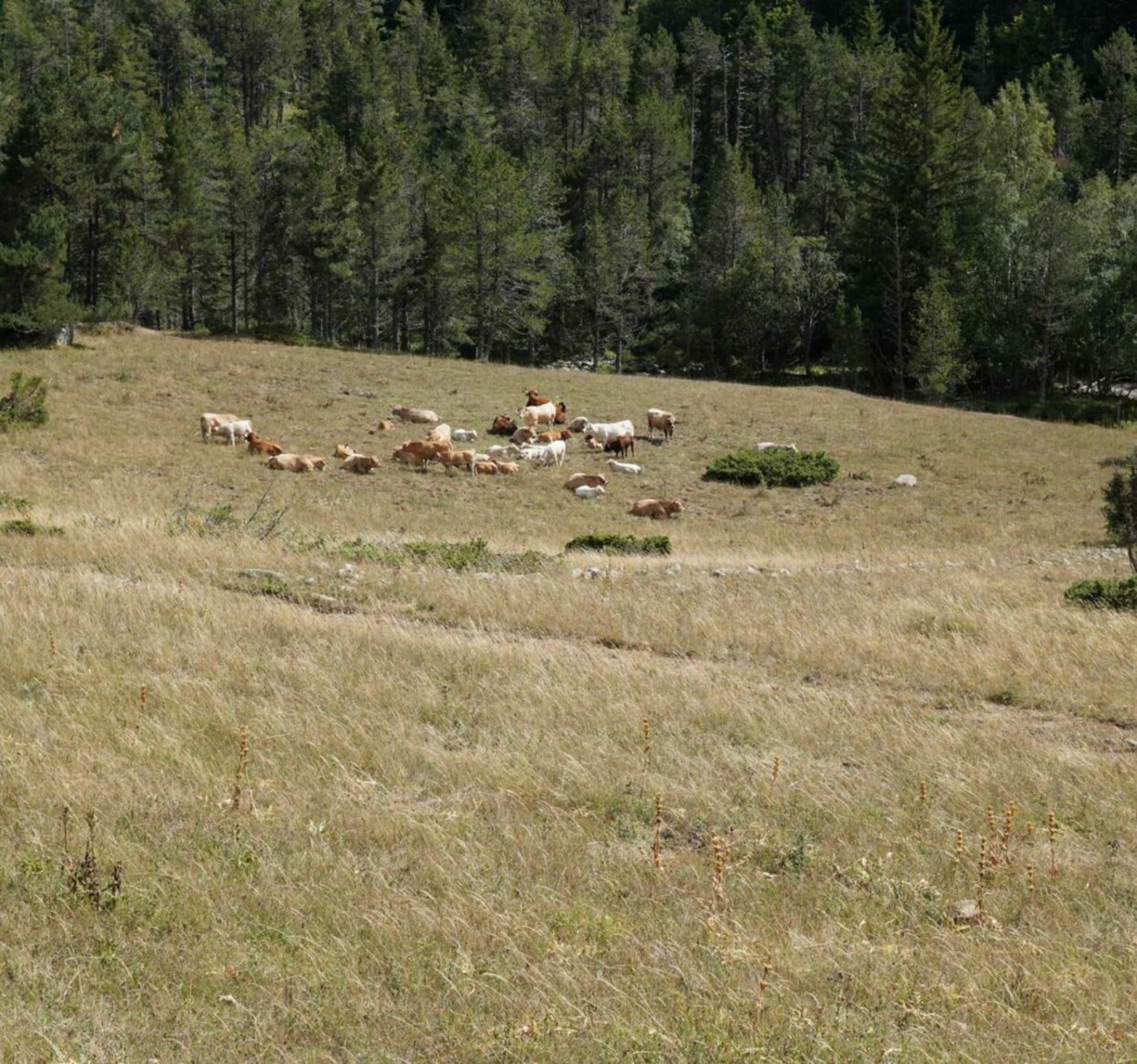 Randonnée Fontrabiouse - Le tour de la galbe