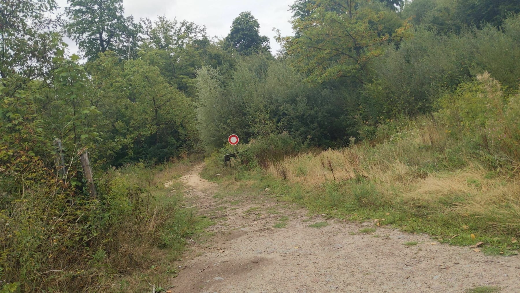 Randonnée Lapugnoy - Sortie du bois des dames et de la Louvière