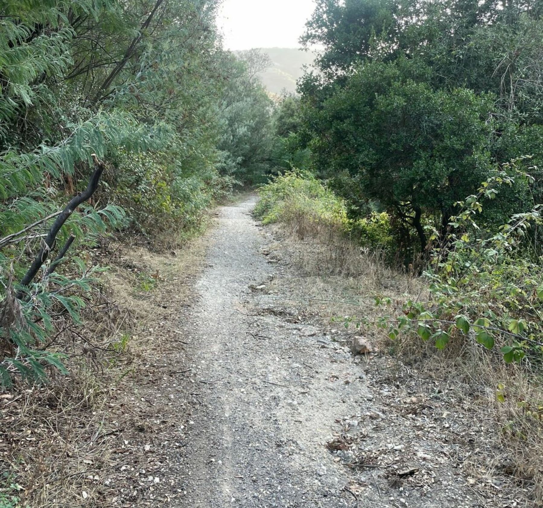 Randonnée Mougins - Entre Mouans-Sartoux et Mandelieu