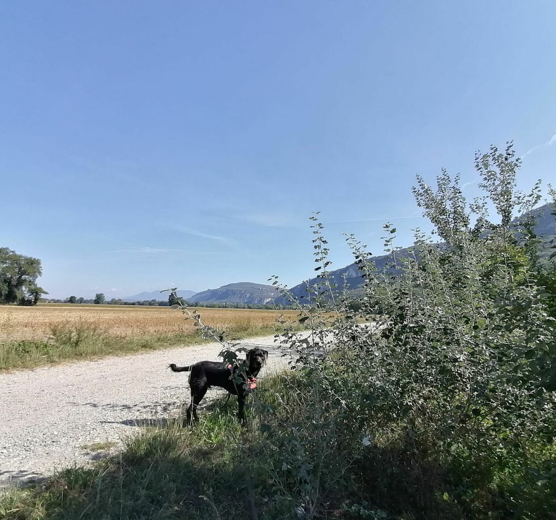 Randonnée Peyrieu - Balade à Peyrieu par le chemin de halage