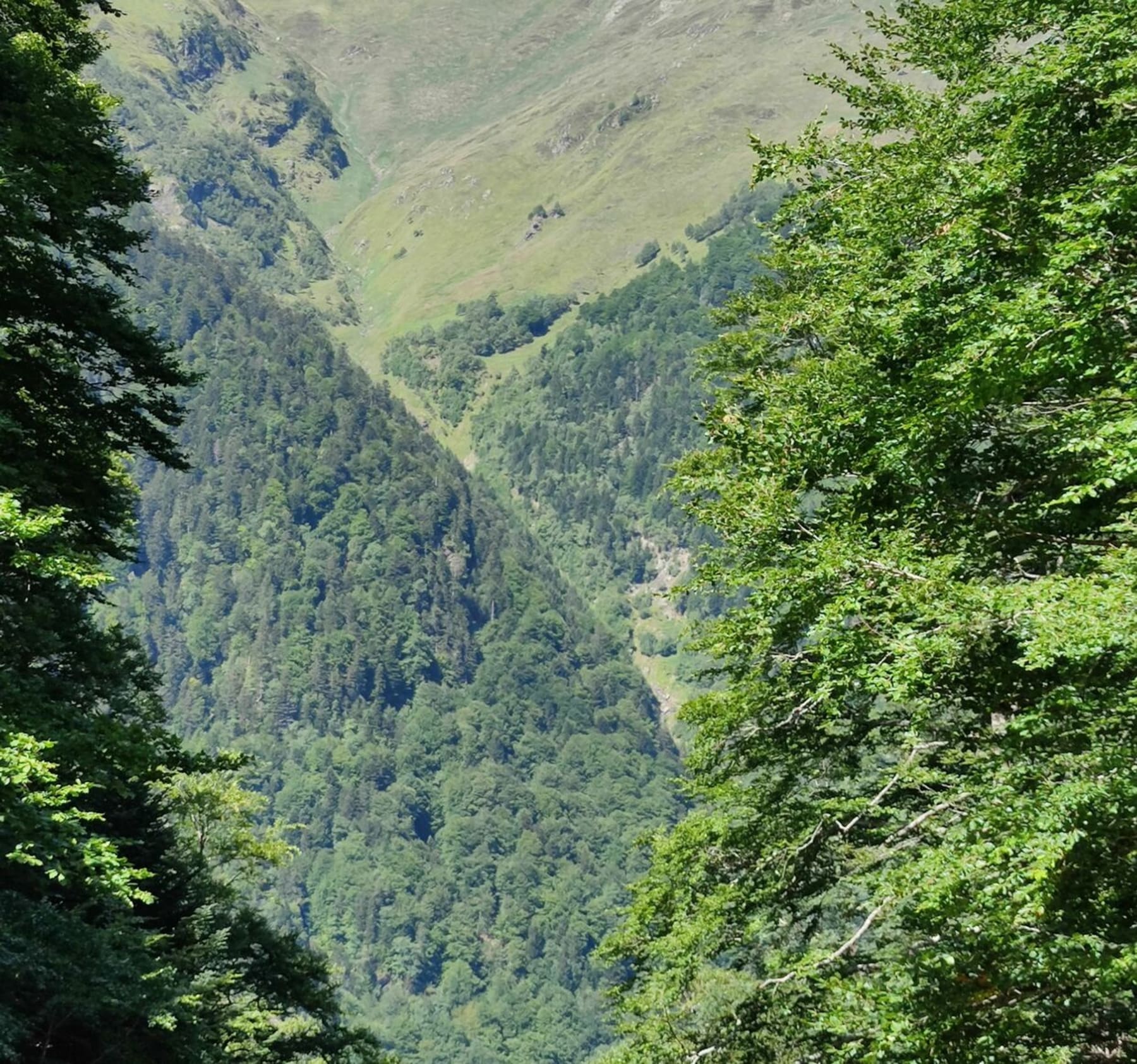 Randonnée Cazeaux-de-Larboust - Vallée du Lis : Cascade D'Enfer et son Ru.