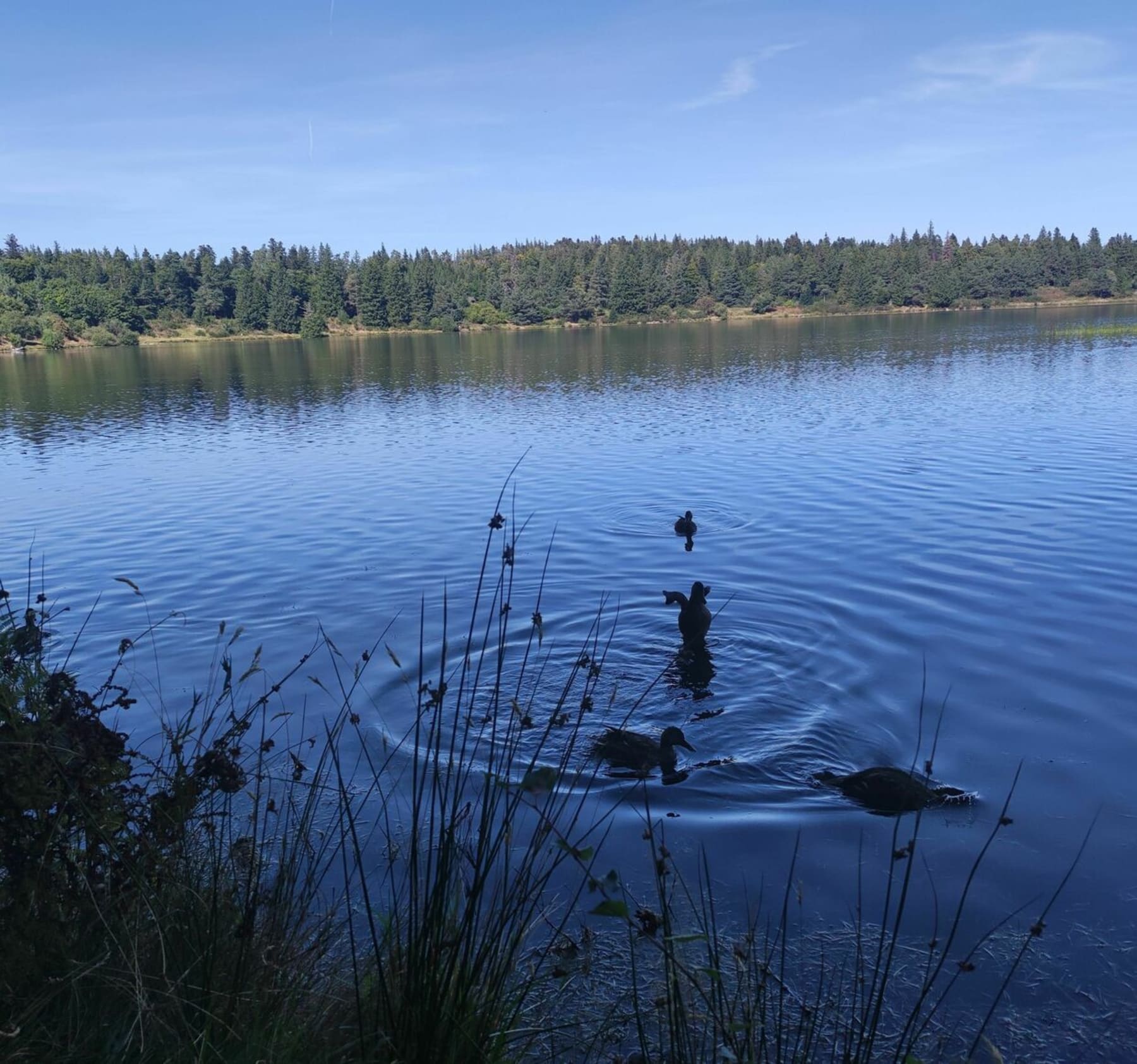 Randonnée Servières - Lac de Servières