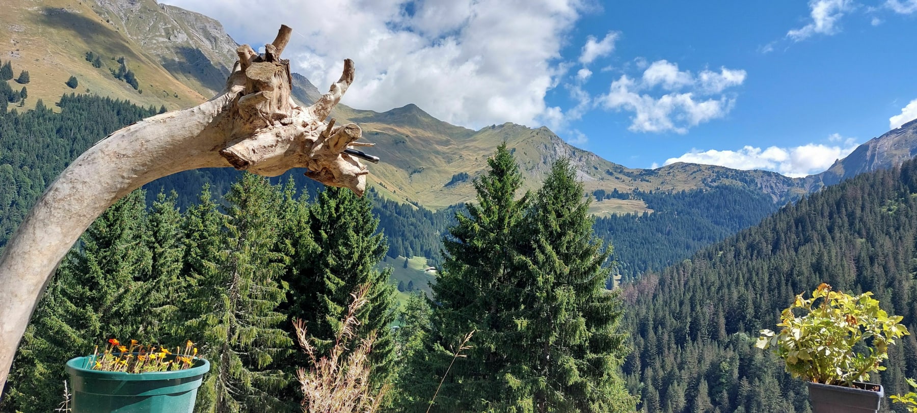 Randonnée Morzine - Promenade aux Bauds