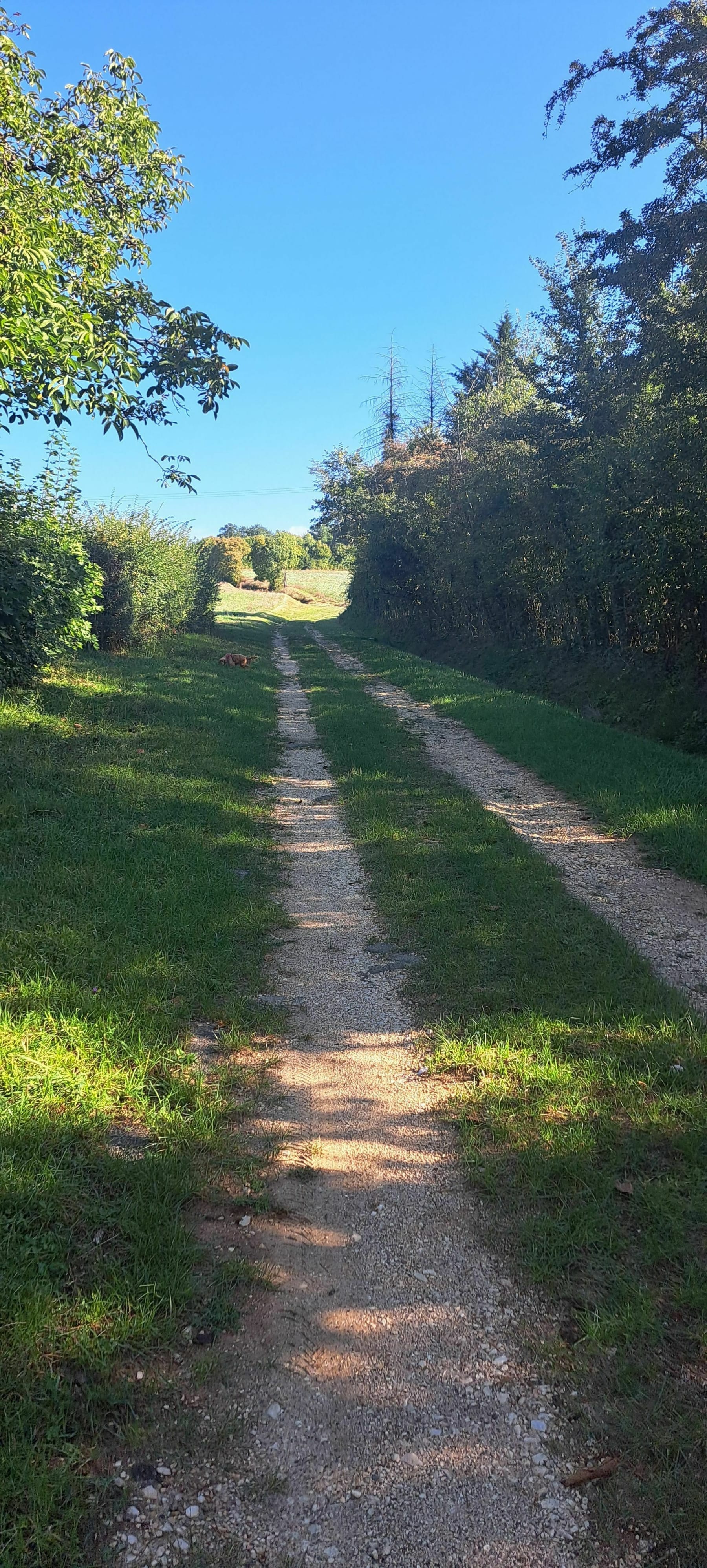 Randonnée Pigny - Pigny/St Martin Circuit de la croix des fougères