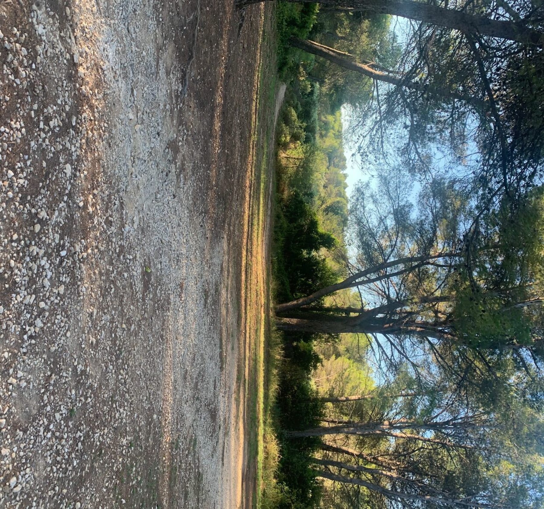 Randonnée Fontvieille - Promenade du côté de Fontvieille et ses sentiers