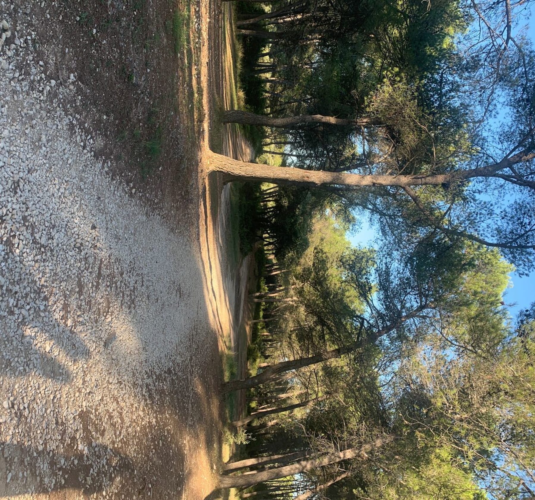 Randonnée Fontvieille - Promenade du côté de Fontvieille et ses sentiers