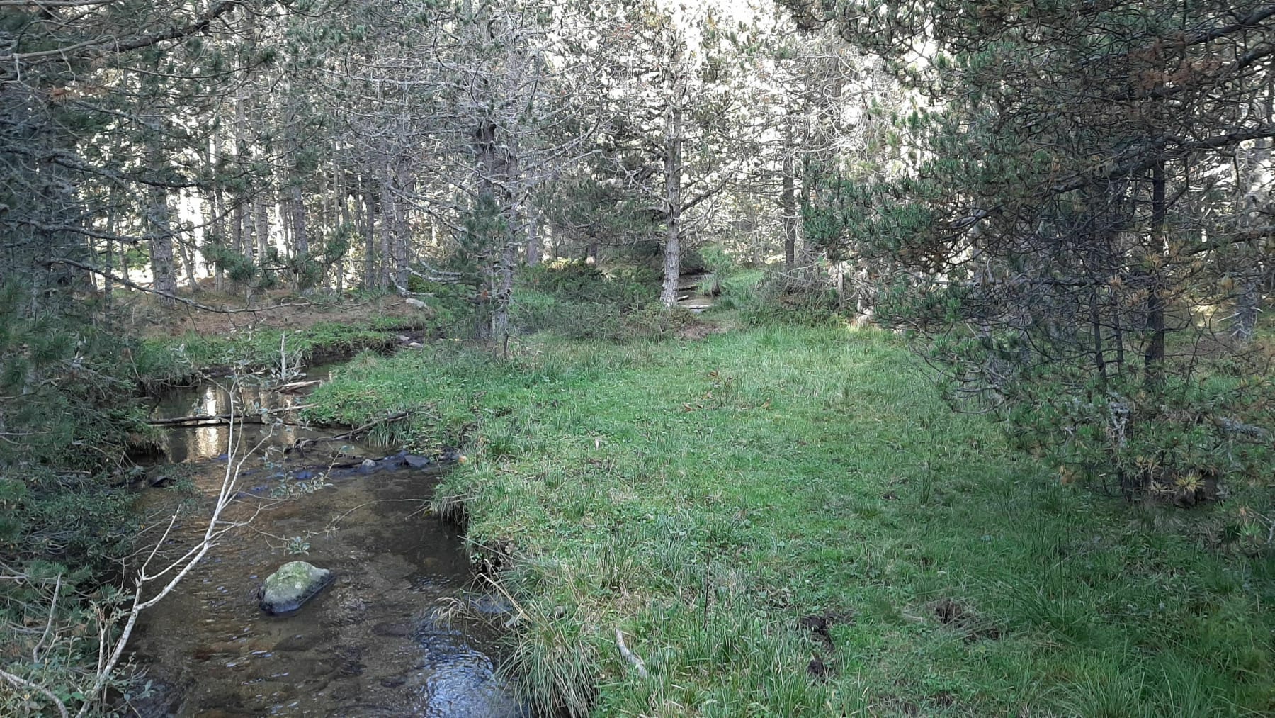 Randonnée Les Angles - Belle boucle par le Lac de Balcère, refuge de Vallsera et Jasse de Gagnade