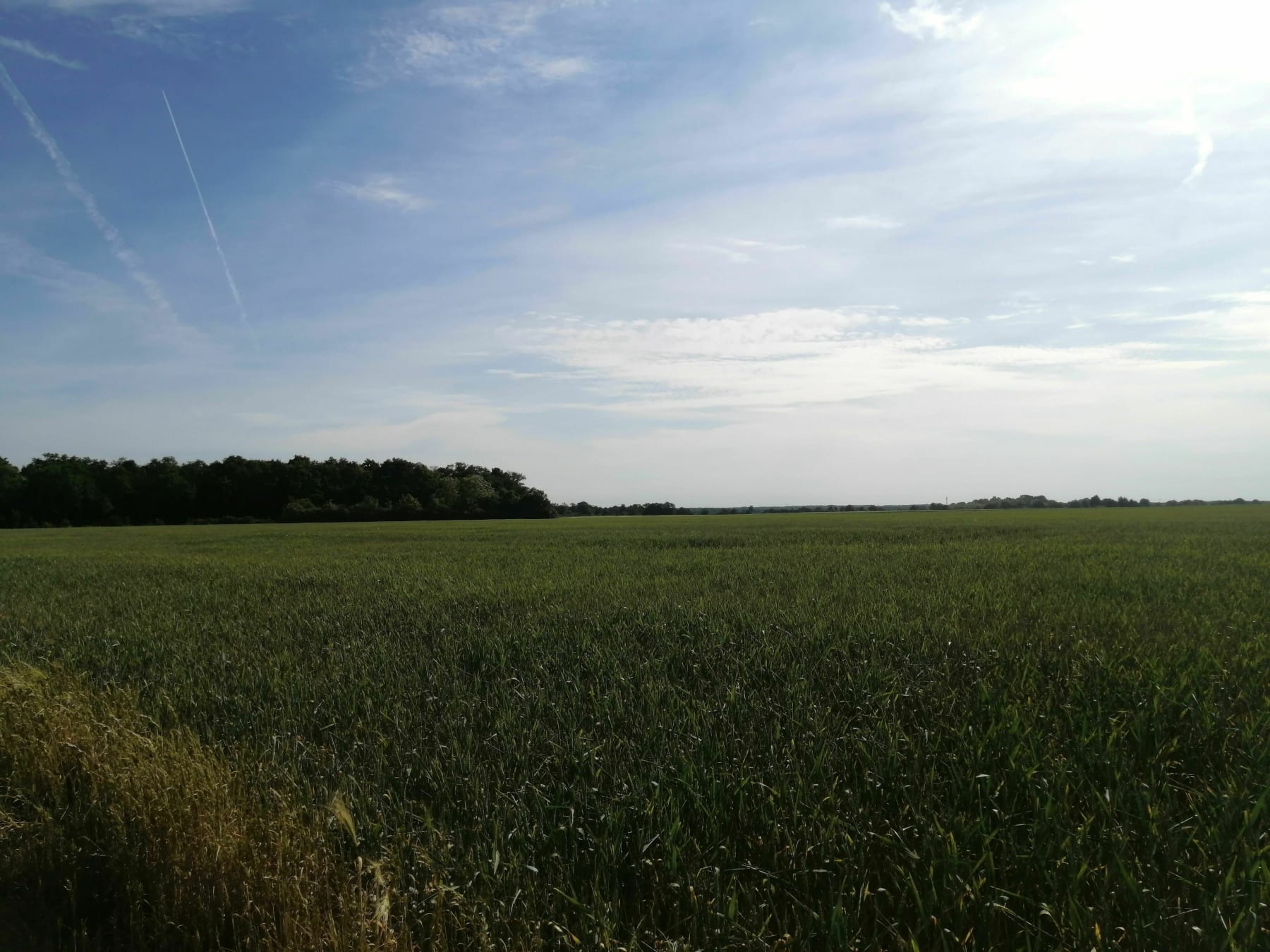 Randonnée  - Tour à Néron et Vacheresse-les-Basses