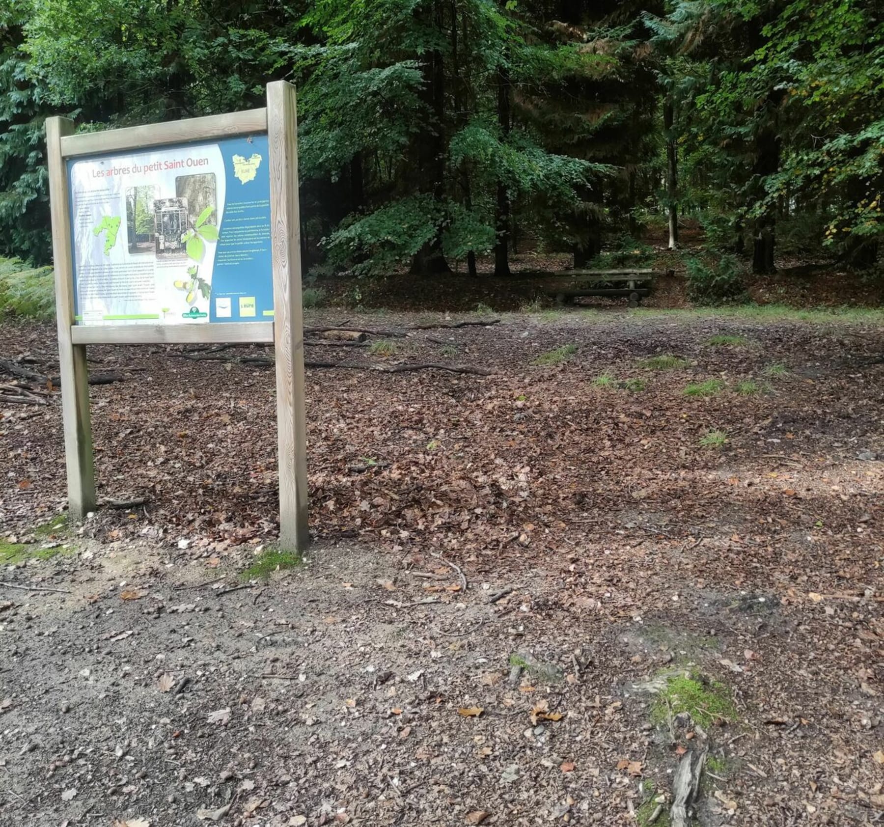 Randonnée Les Damps - Balade en Forêt de Bord