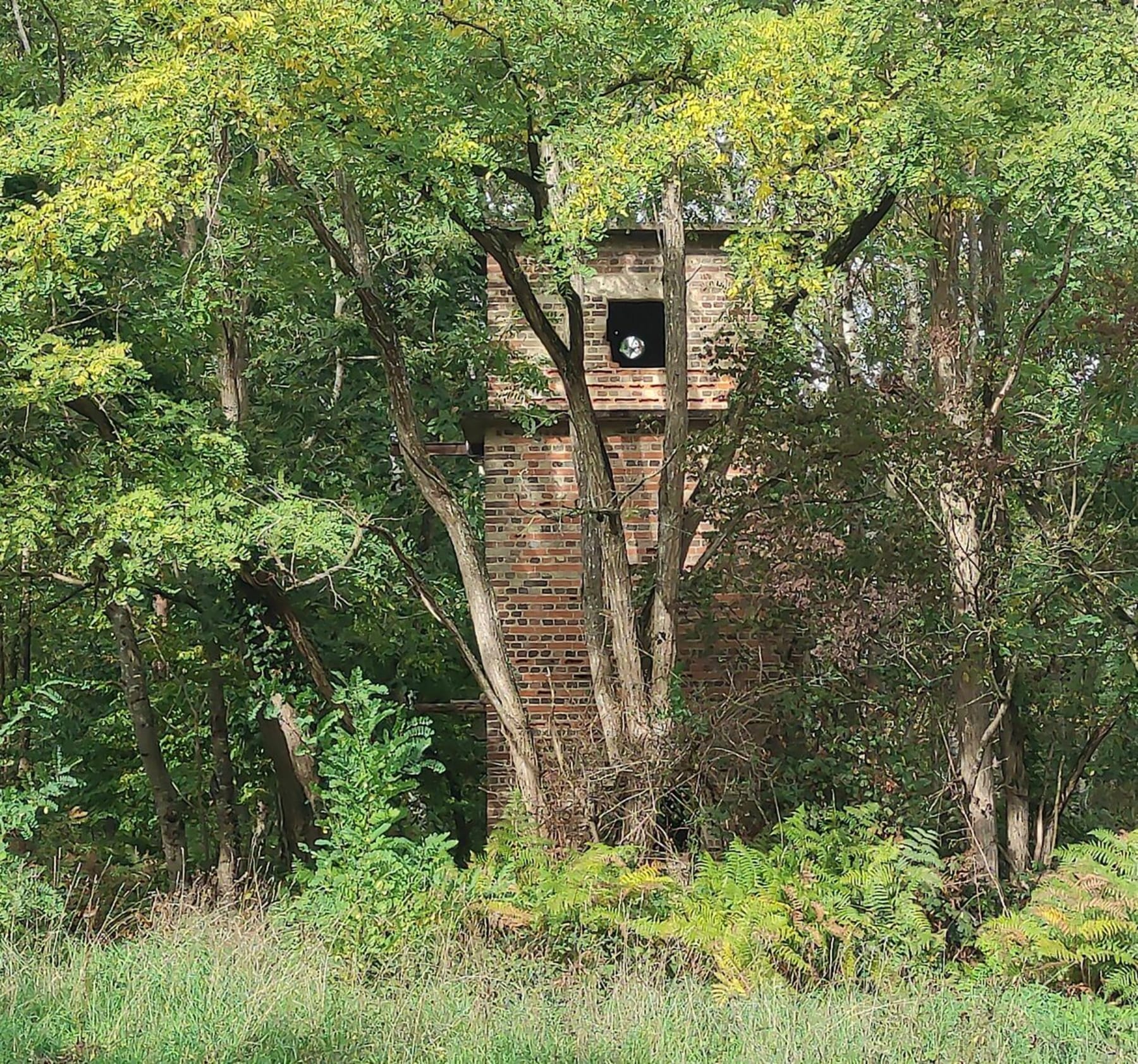 Randonnée Les Damps - Balade en Forêt de Bord