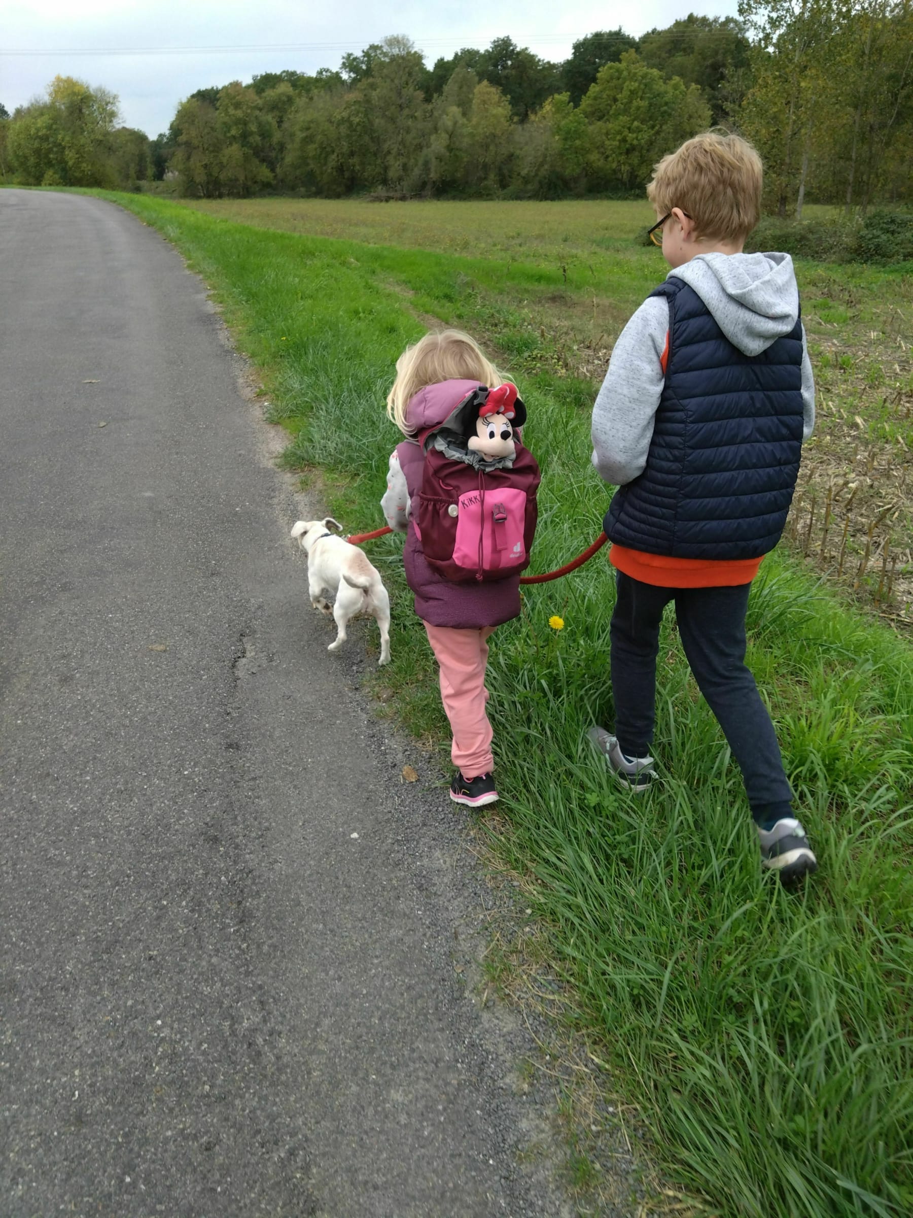 Randonnée Salles-de-Barbezieux - Petite boucle Salles-de-Barbezieux