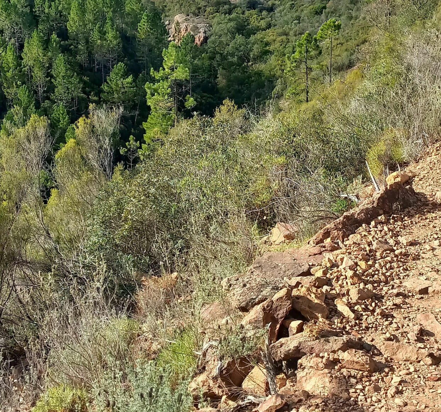 Randonnée Saint-Raphaël - Col d'Aubert massif de l'Esterel