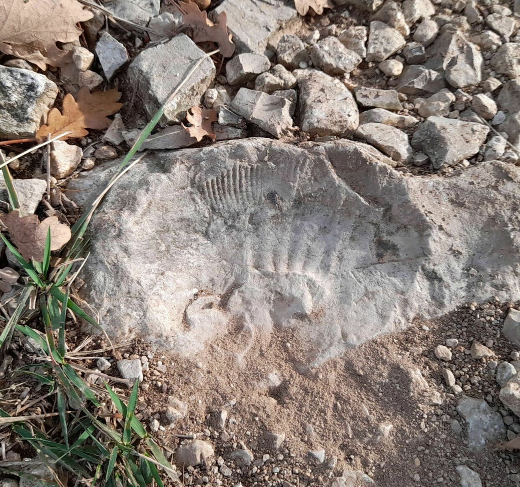 Randonnée Beauvoisin - Beauvoisin, incroyable randonnée dans les Baronnies