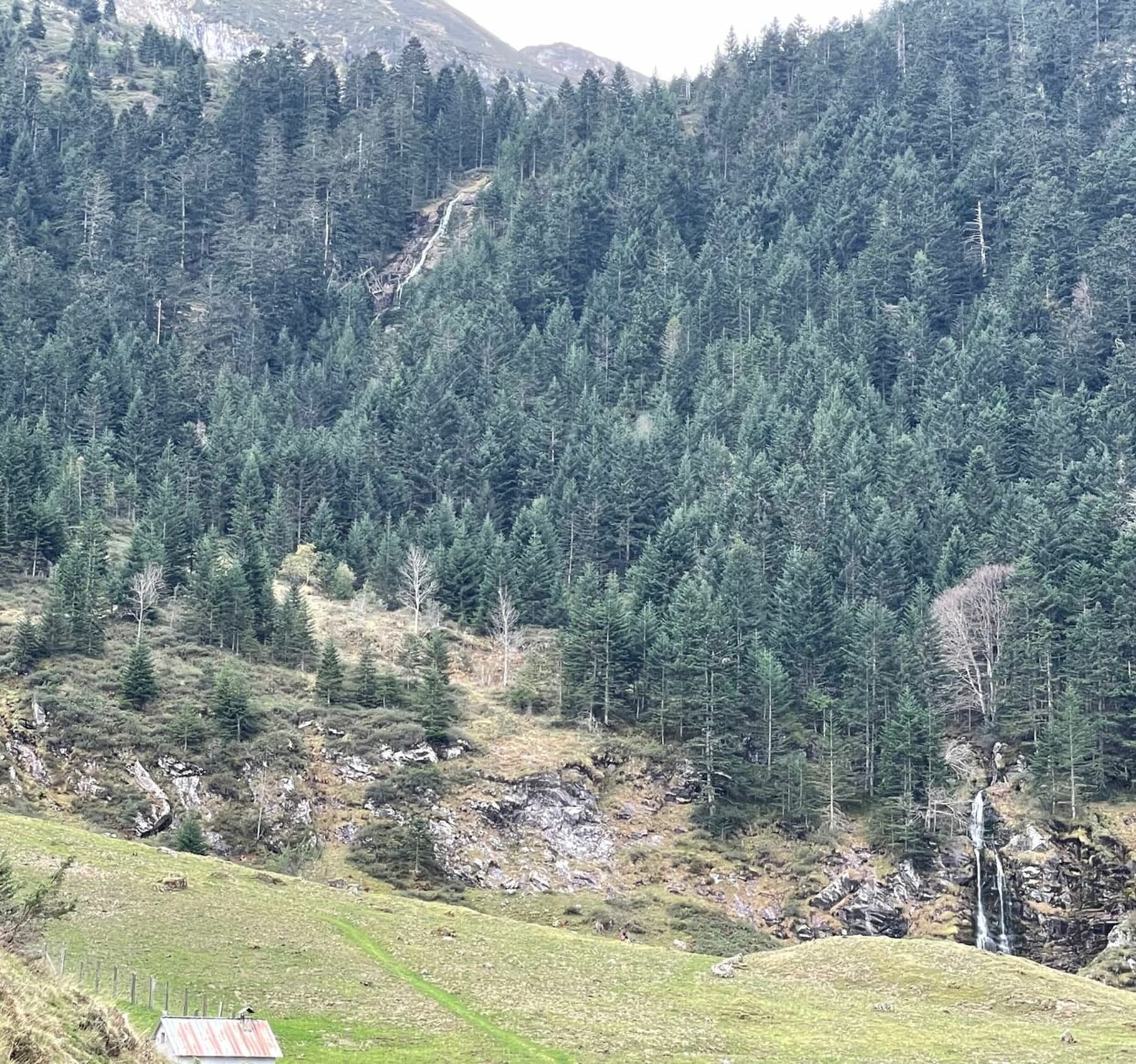 Randonnée Bethmale - Randonnée au Pic du Midi de Bordes